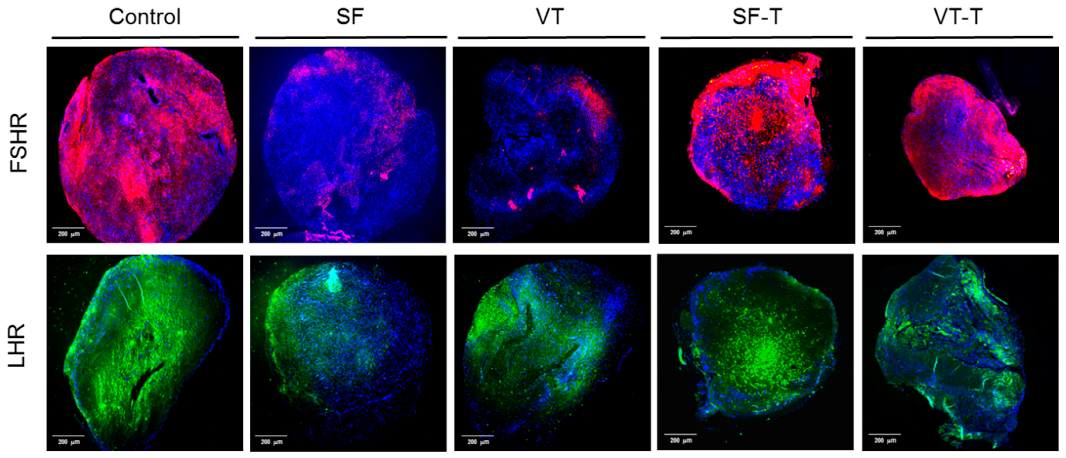 Ijms 20 03346 g004 Ijms 20 03346 g004