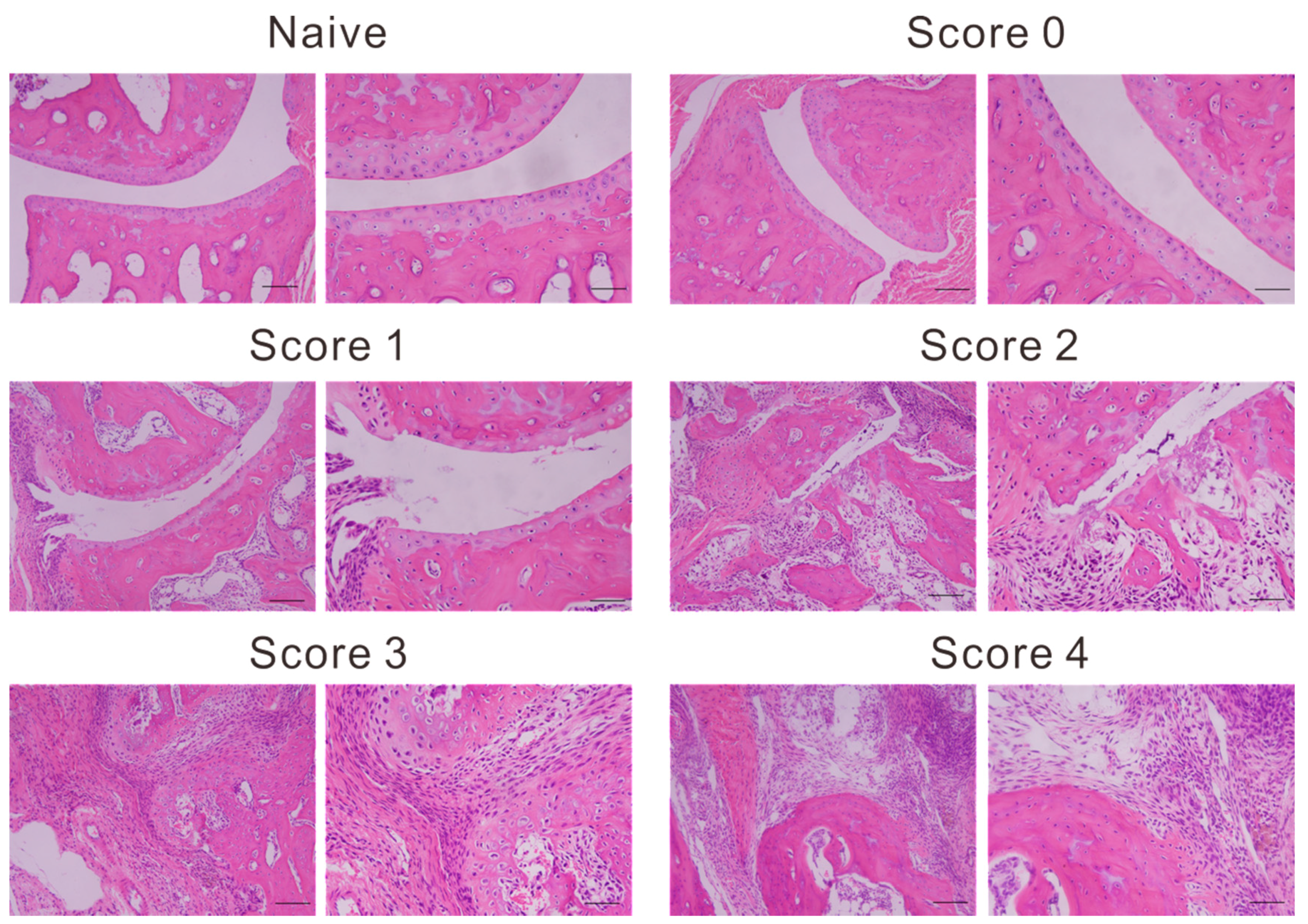 Ijms 20 03347 g004 Ijms 20 03347 g004