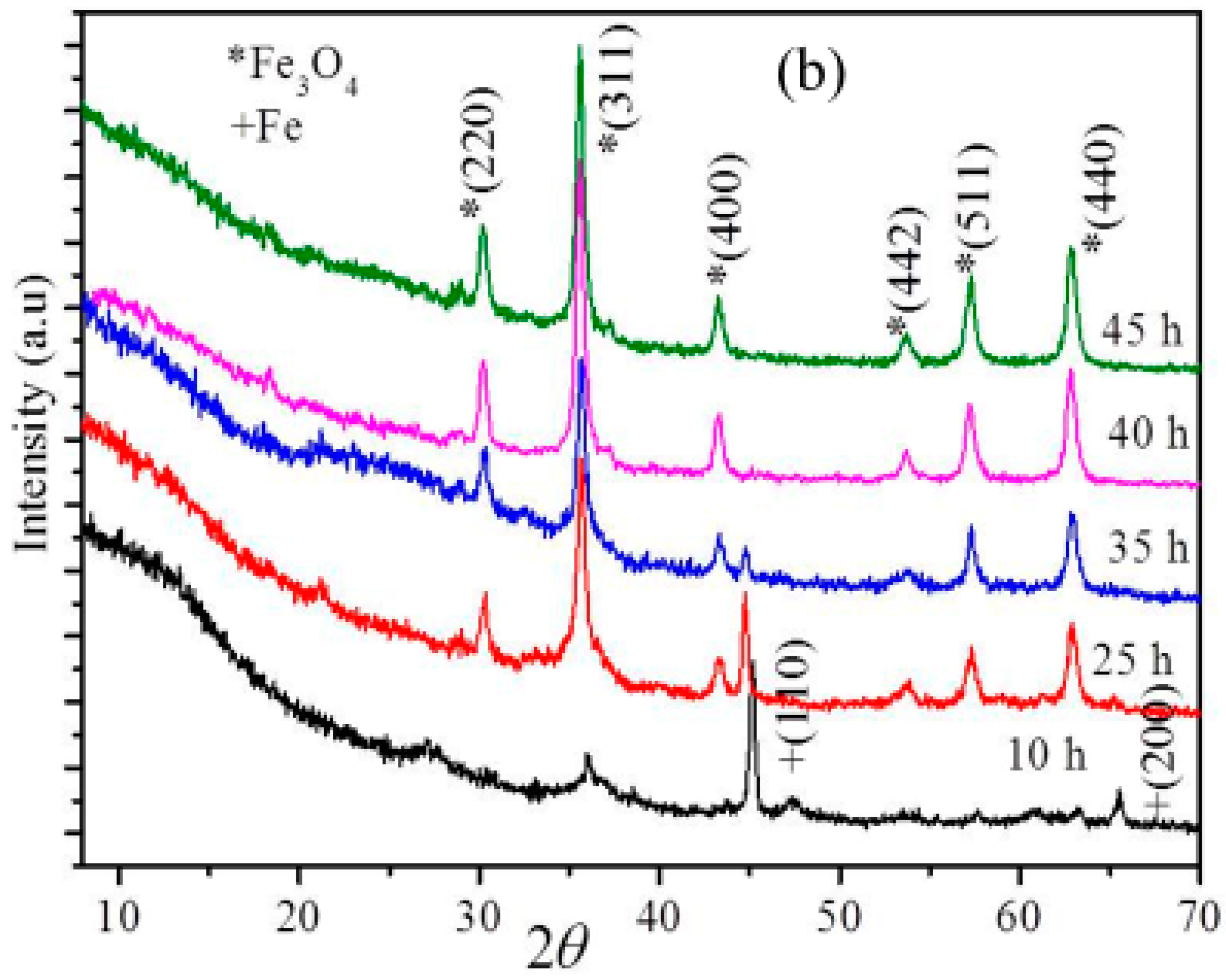 Ijms 20 03368 g001b Ijms 20 03368 g001b