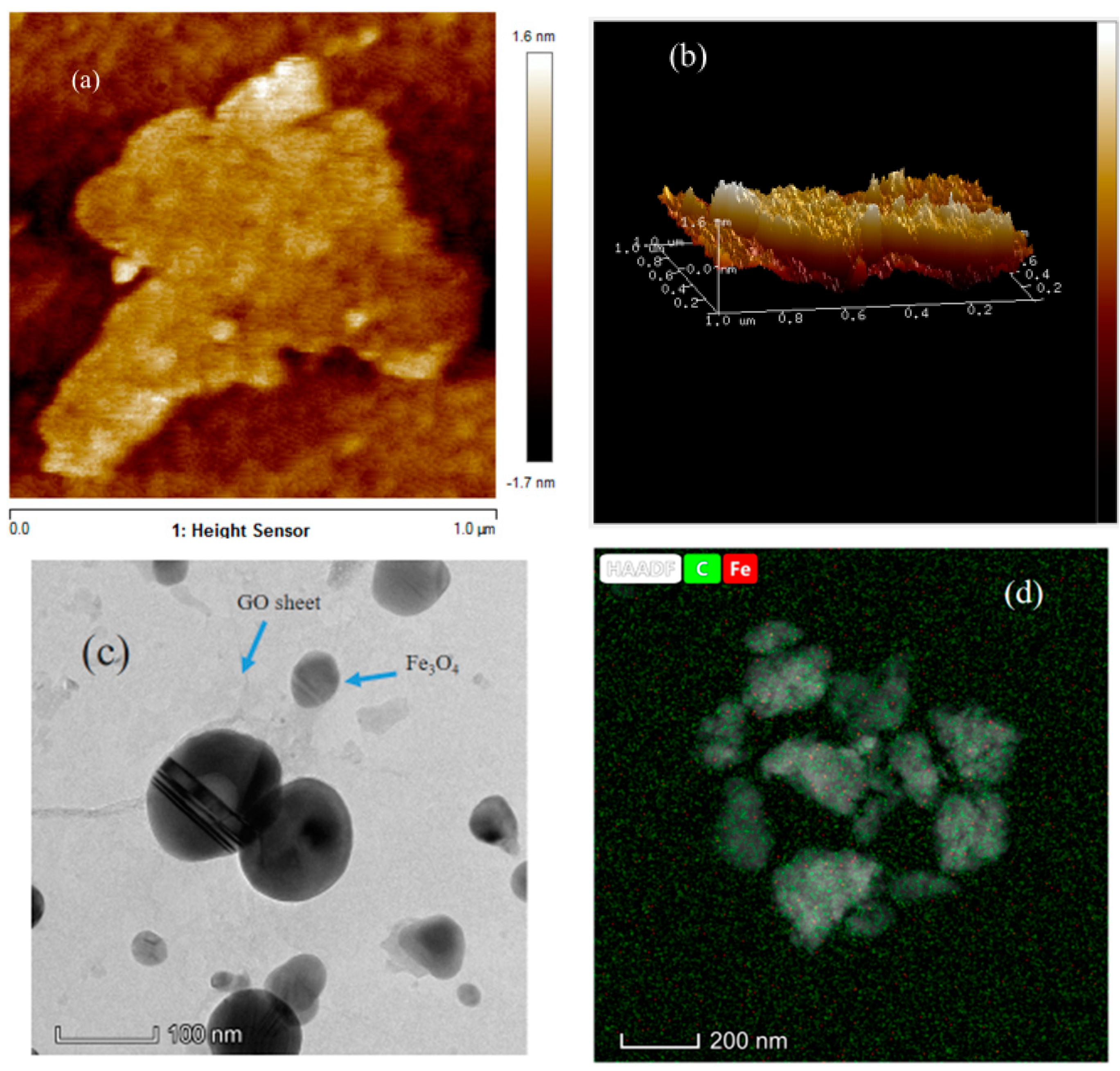 Ijms 20 03368 g003 Ijms 20 03368 g003