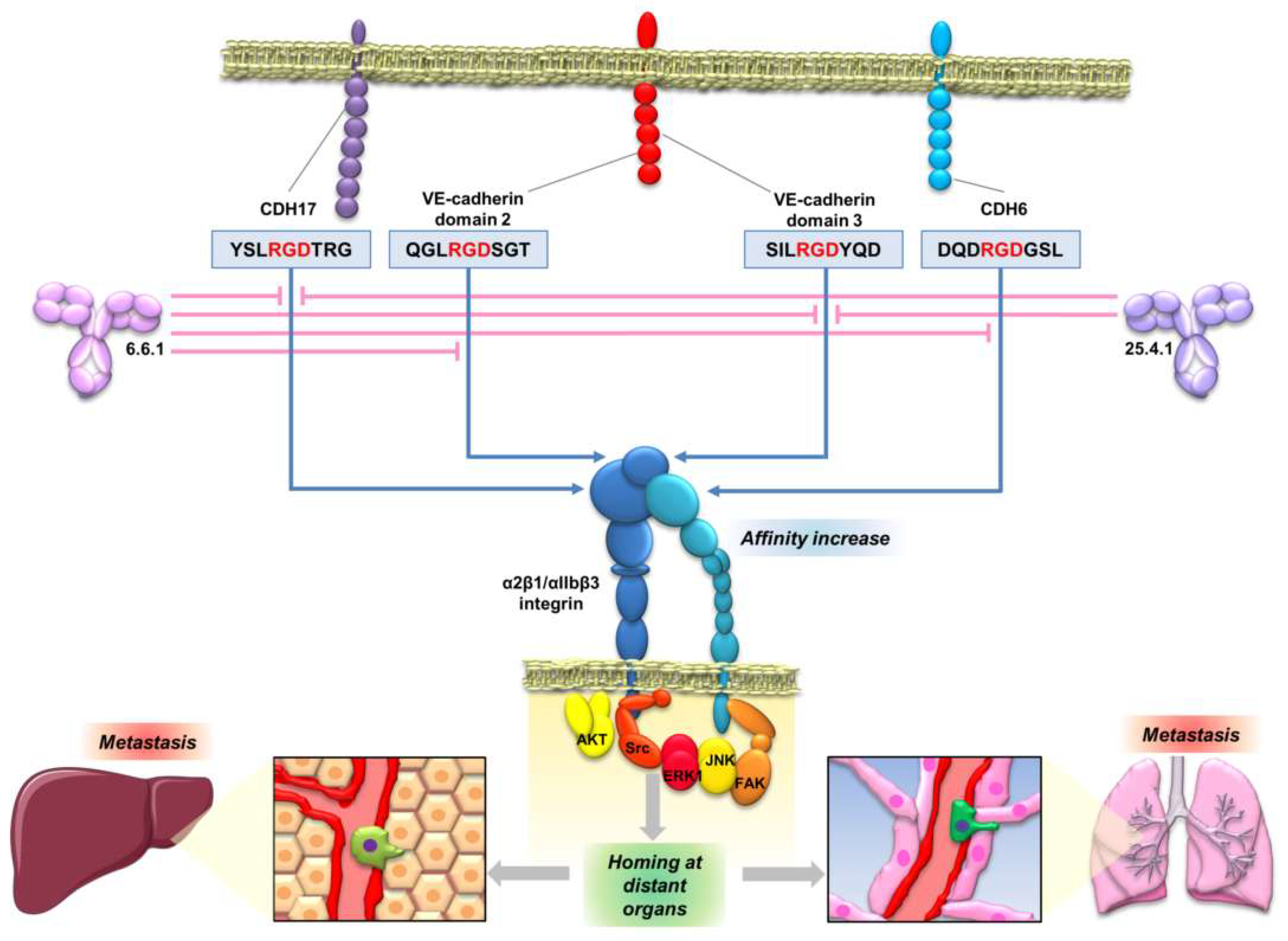 Ijms 20 03373 g005 Ijms 20 03373 g005