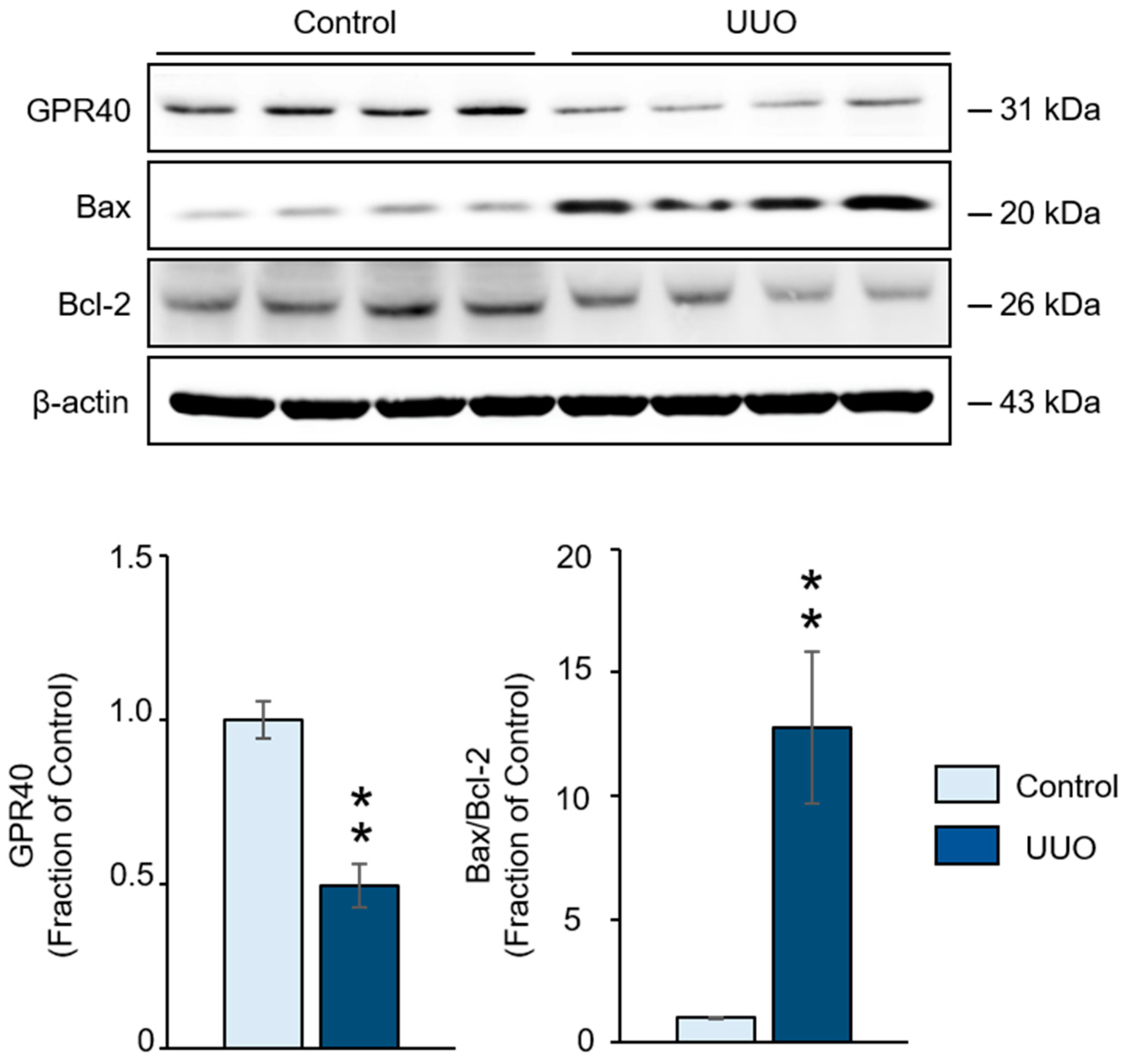 Ijms 20 03386 g001 Ijms 20 03386 g001