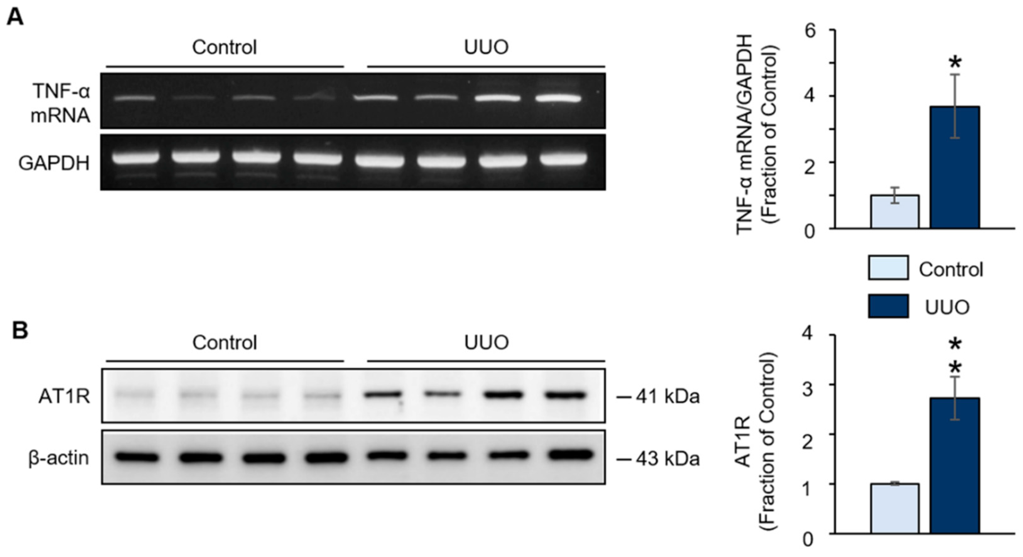 Ijms 20 03386 g003 Ijms 20 03386 g003