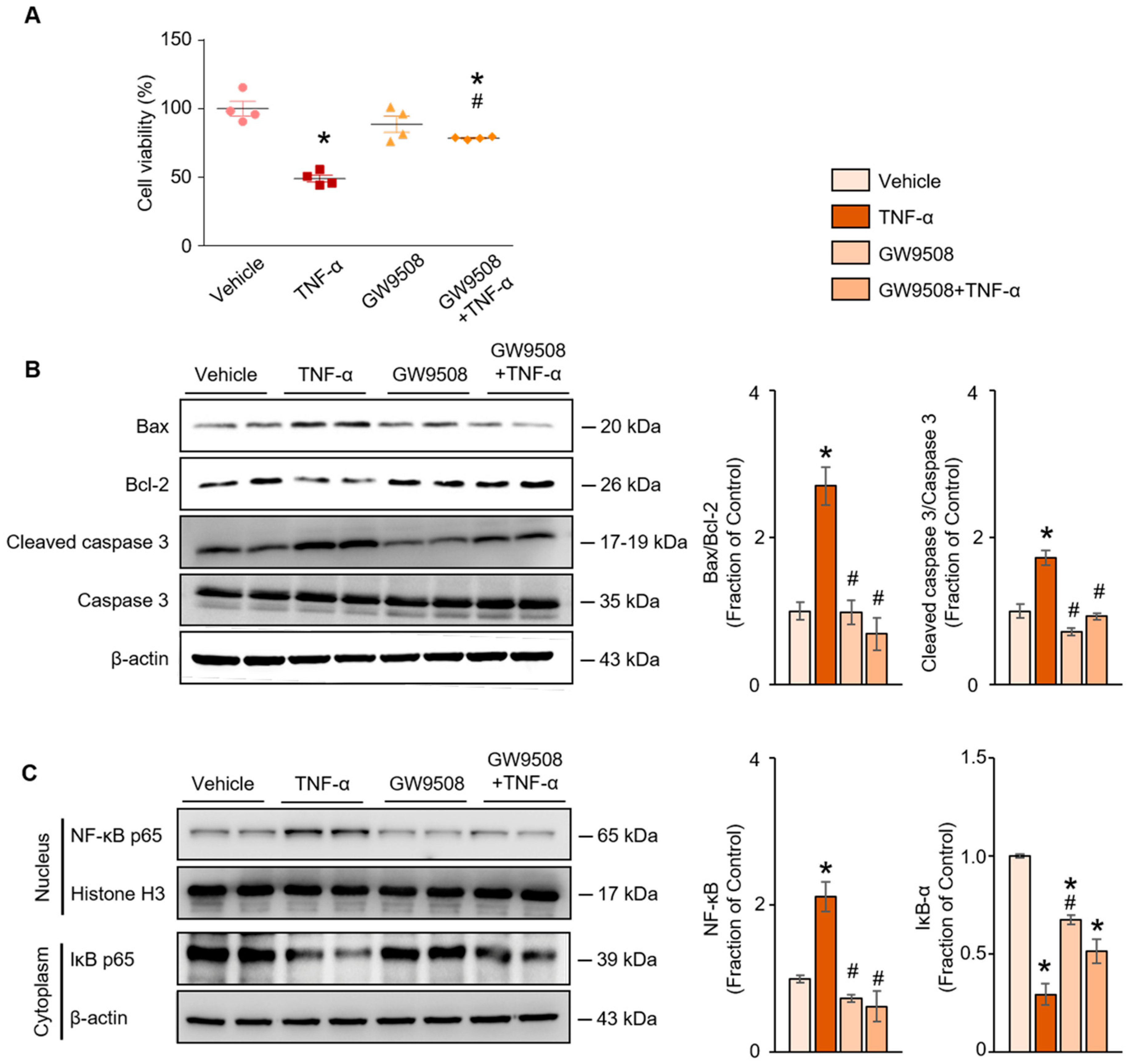 Ijms 20 03386 g004 Ijms 20 03386 g004