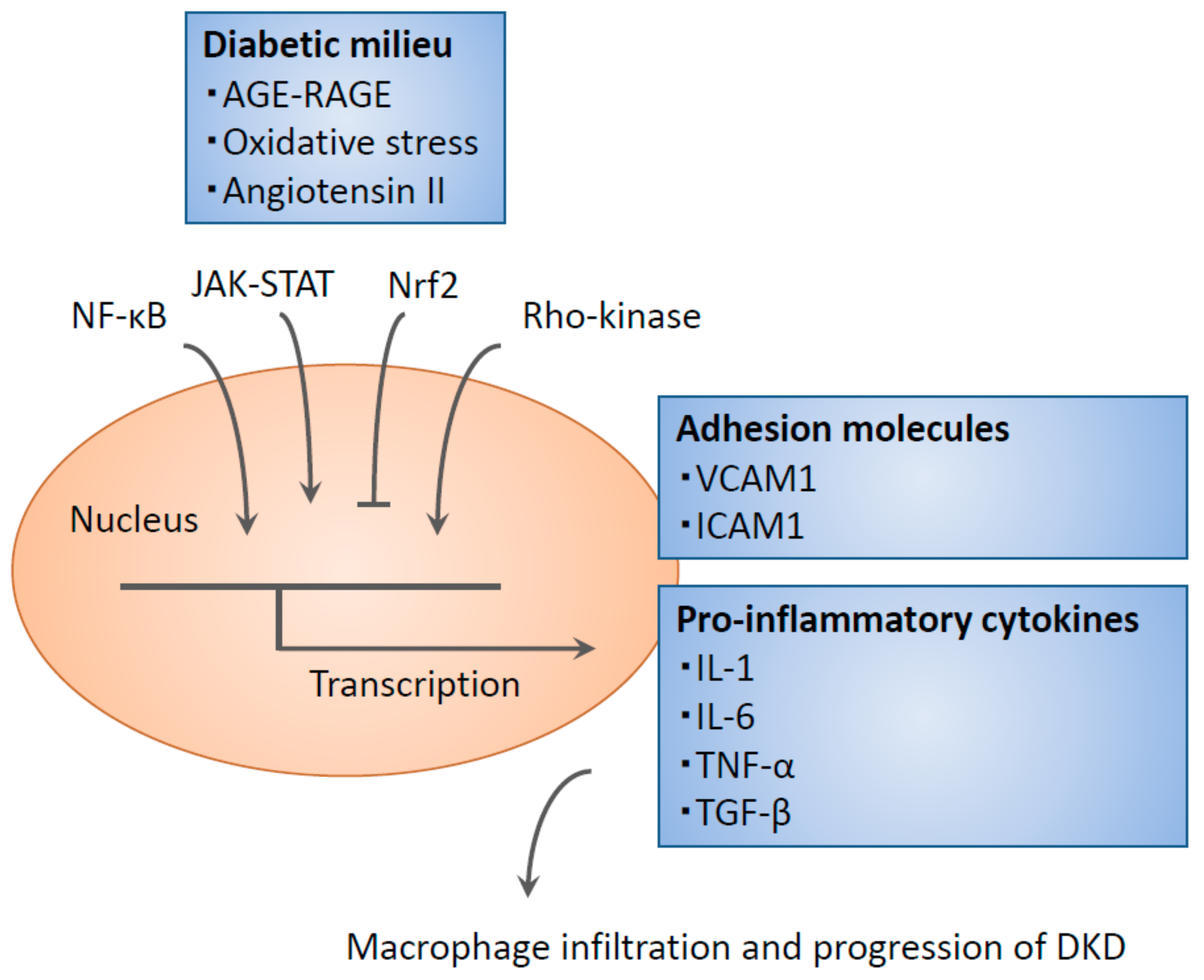 Ijms 20 03393 g001 Ijms 20 03393 g001