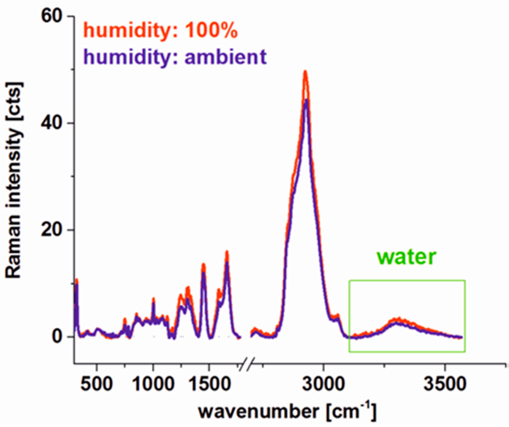 Ijms 20 03398 g006 Ijms 20 03398 g006