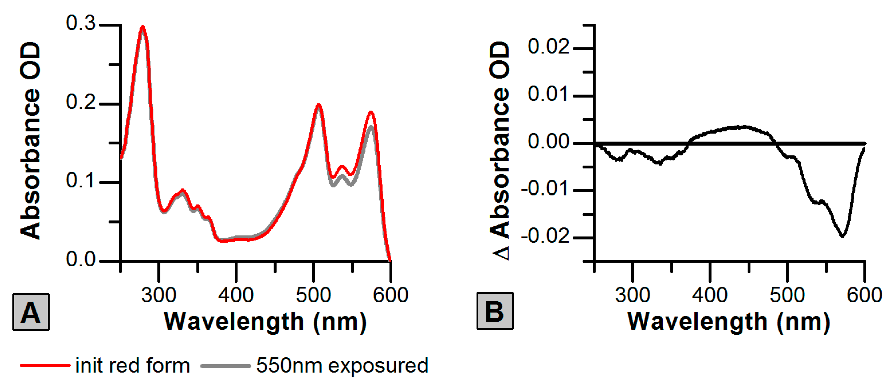 Ijms 20 03399 g005 Ijms 20 03399 g005