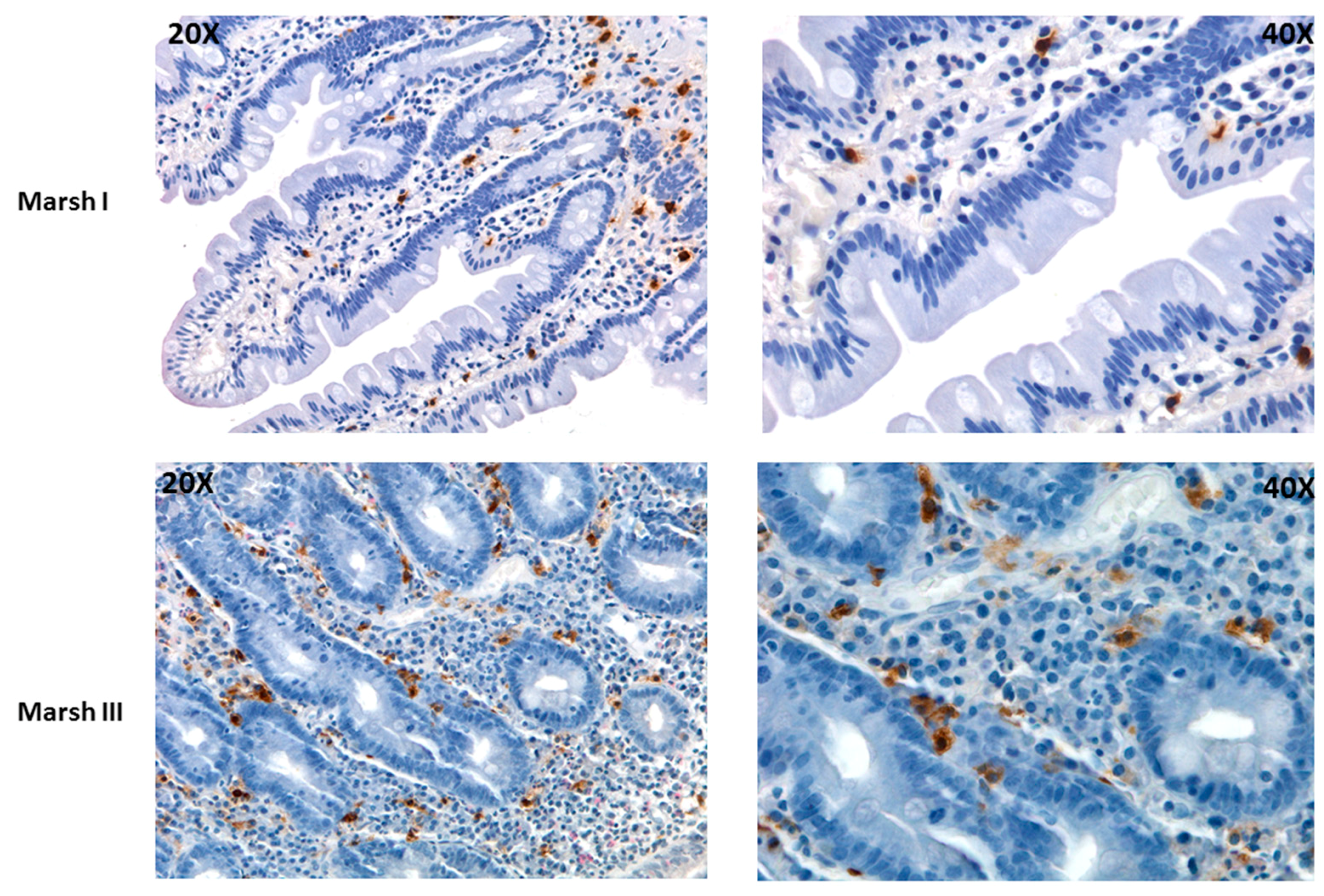 Ijms 20 03400 g002 Ijms 20 03400 g002