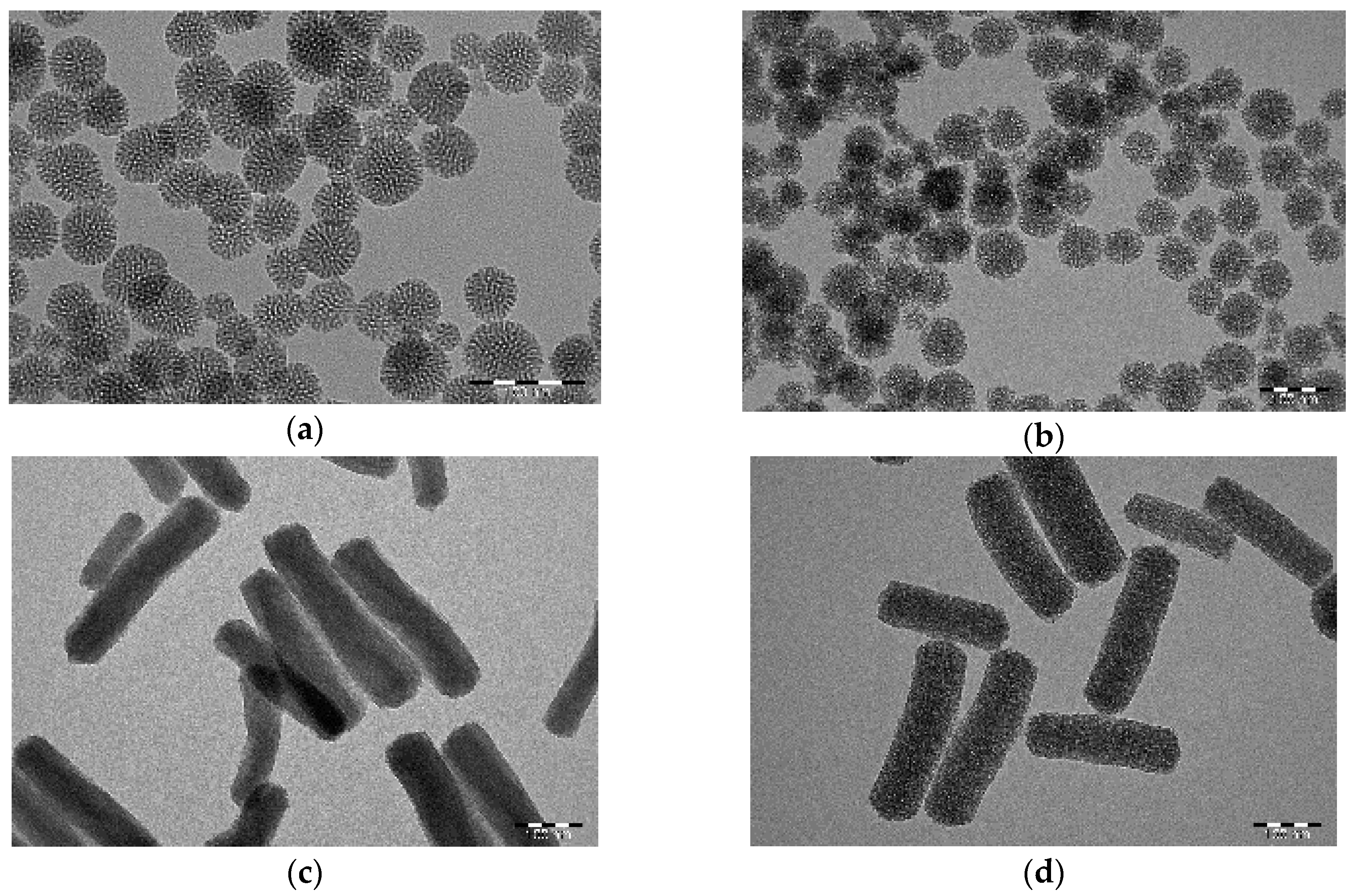 Ijms Free Full Text Comparison Of Polydopamine Coated Mesoporous Silica Nanorods And Spheres For The Delivery Of Hydrophilic And Hydrophobic Anticancer Drugs Html Ijms Free Full Text Comparison Of Polydopamine Coated Mesoporous Silica Nanorods And Spheres For The Delivery Of Hydrophilic And Hydrophobic Anticancer Drugs Html