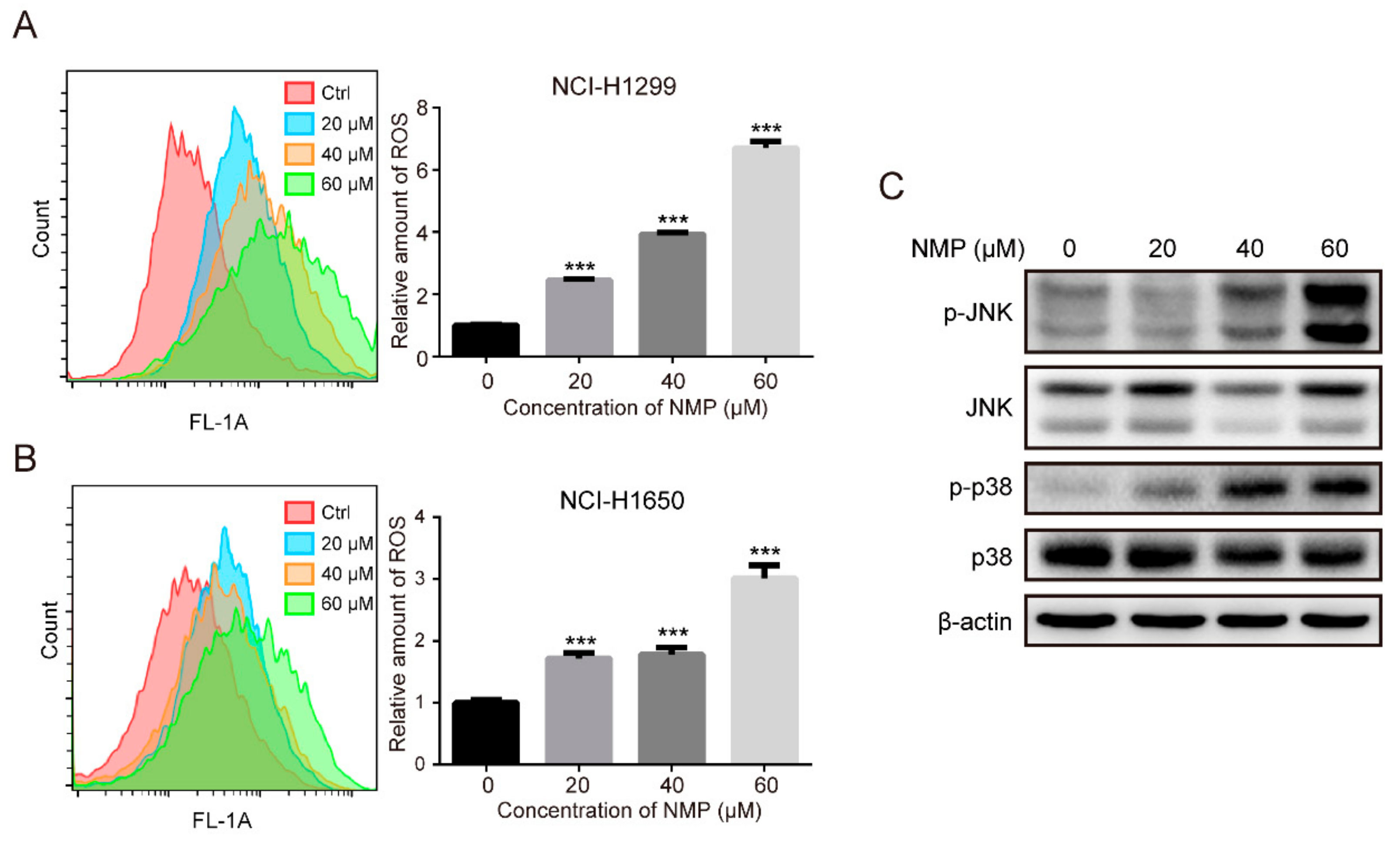 IJMS Free FullText NMethylparoxetine Blocked Autophagic Flux and