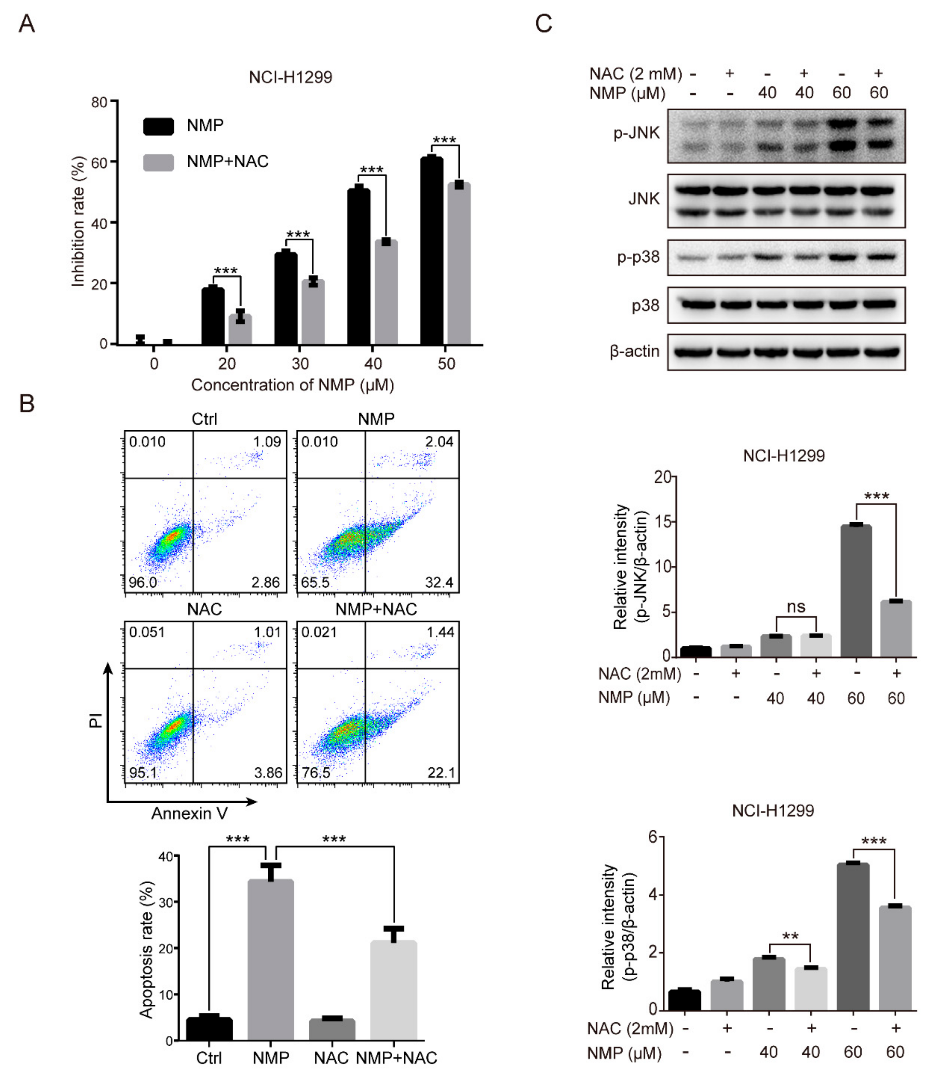 Ijms 20 03415 g005 Ijms 20 03415 g005