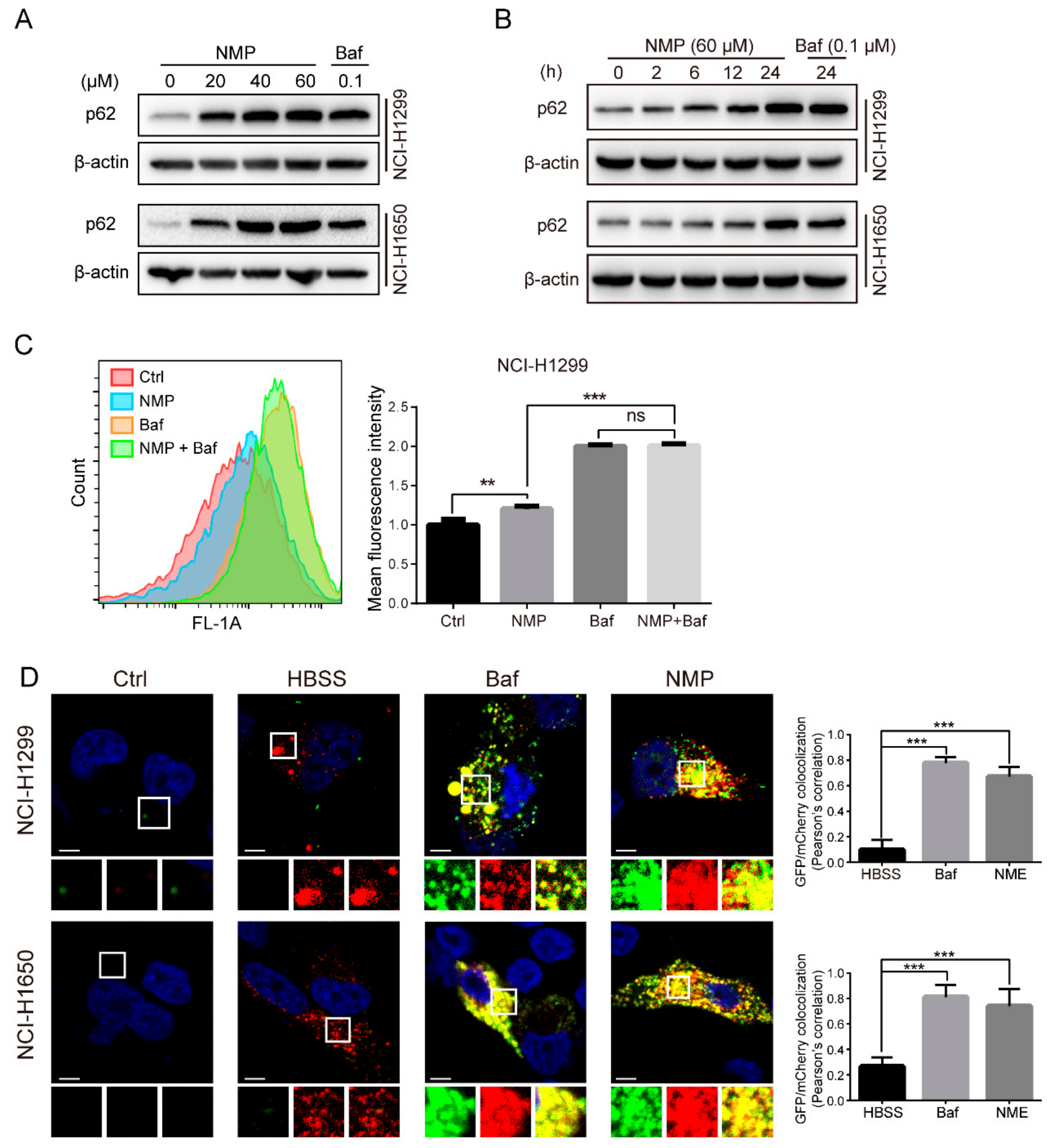 Ijms 20 03415 g007 Ijms 20 03415 g007