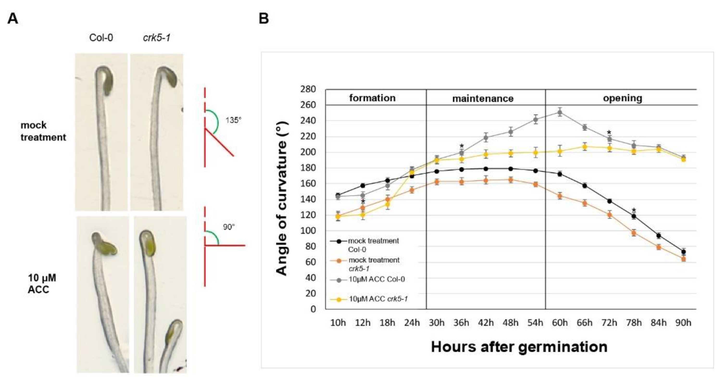 Ijms 20 03432 g001 Ijms 20 03432 g001