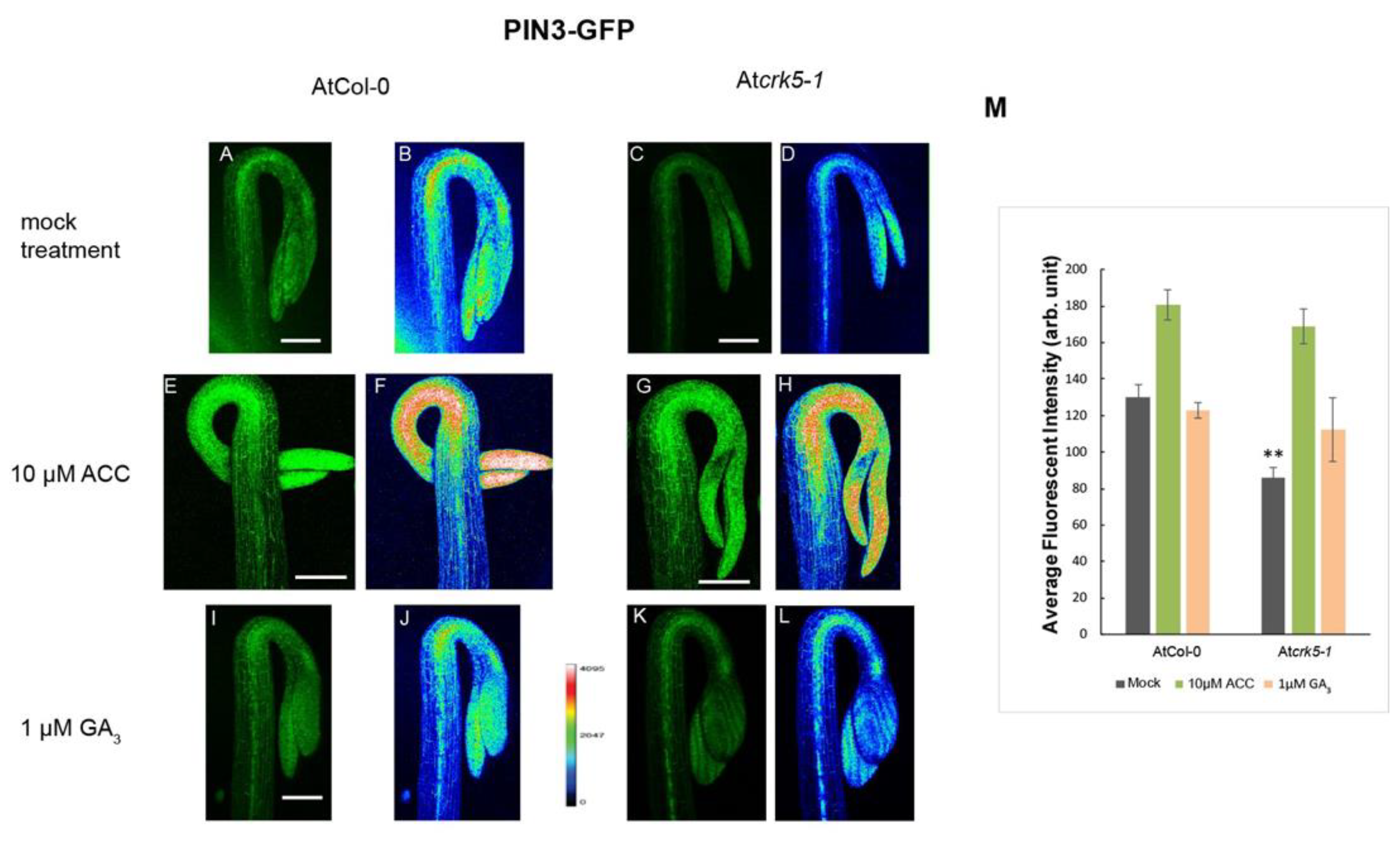 Ijms 20 03432 g004 Ijms 20 03432 g004