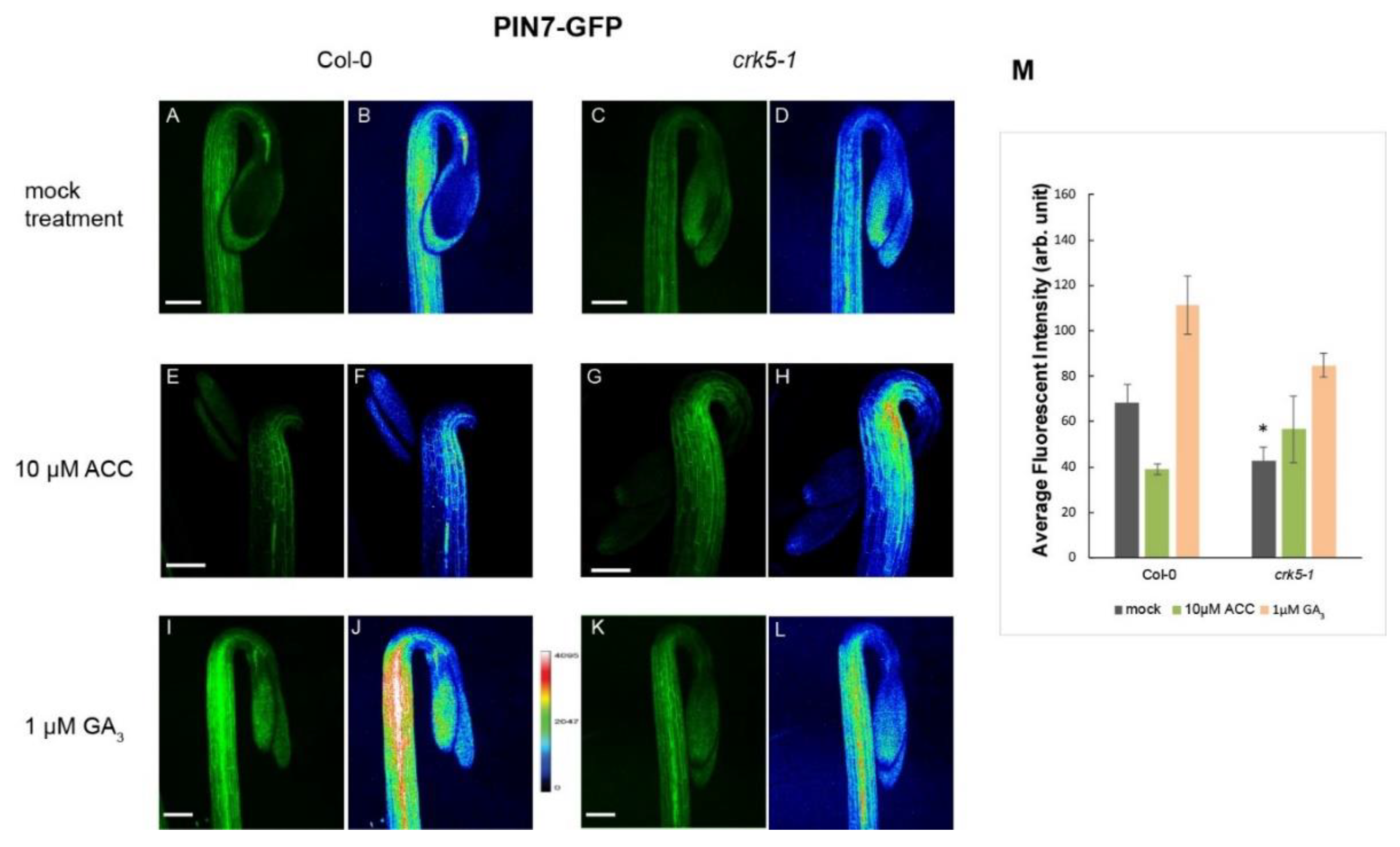 Ijms 20 03432 g005 Ijms 20 03432 g005