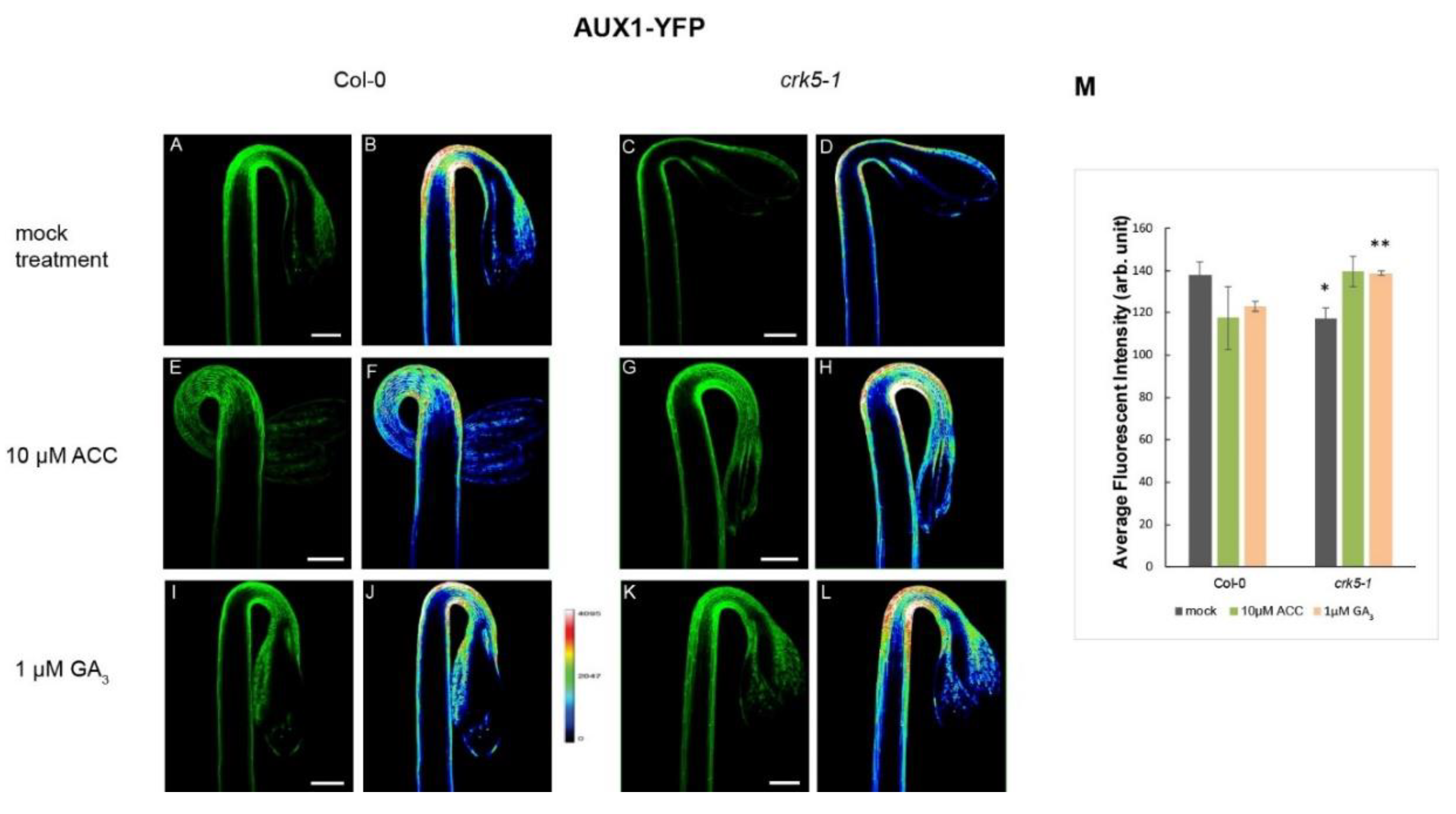 Ijms 20 03432 g006 Ijms 20 03432 g006