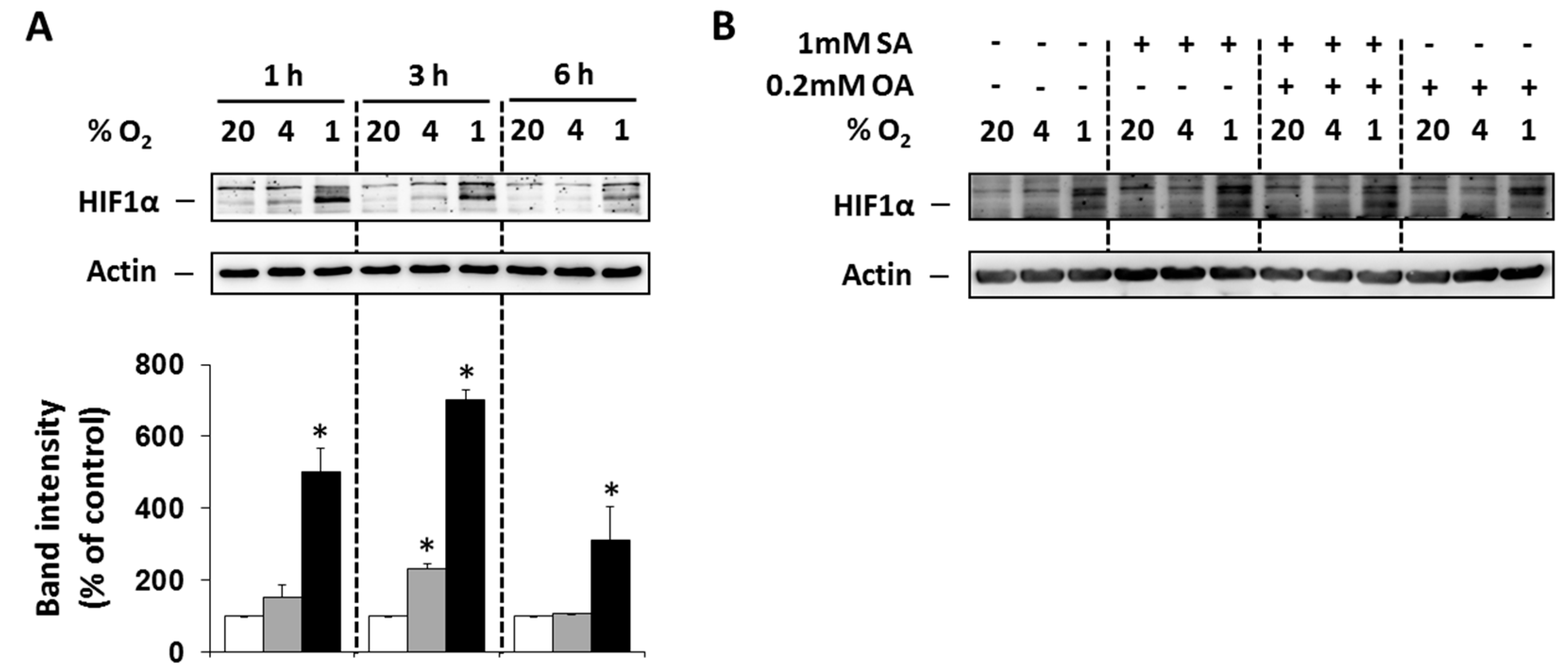 Ijms 20 03441 g001
