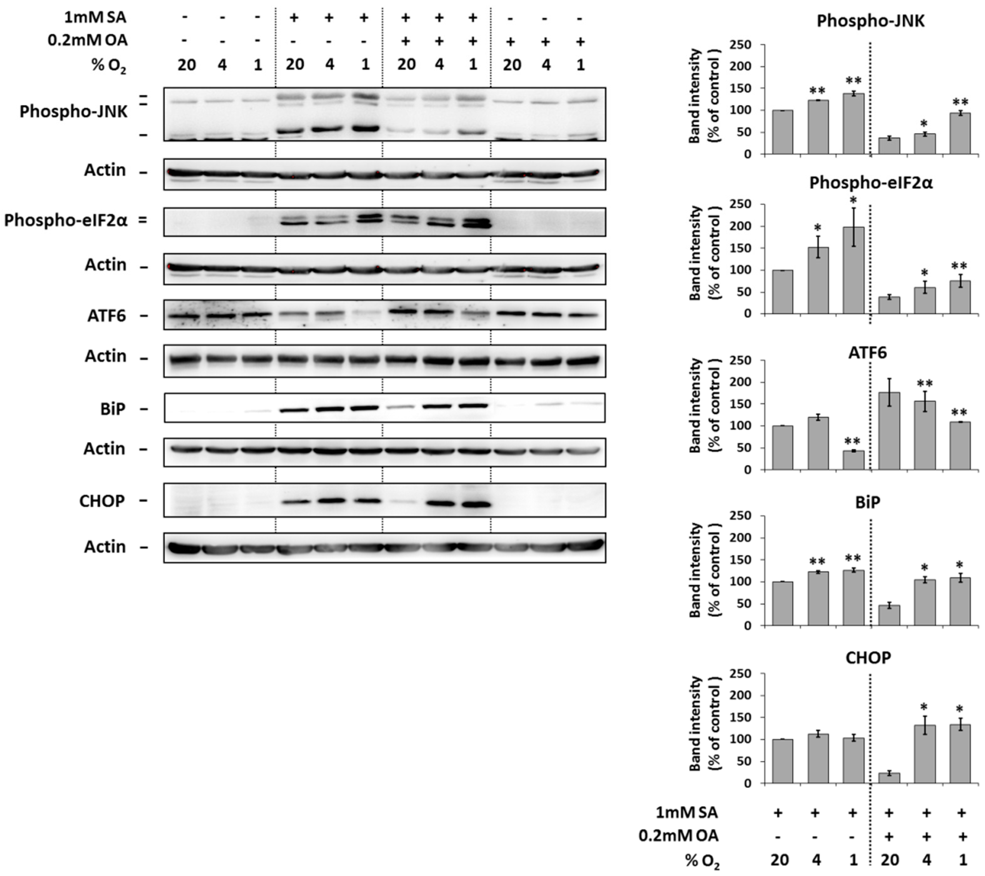 Ijms 20 03441 g004