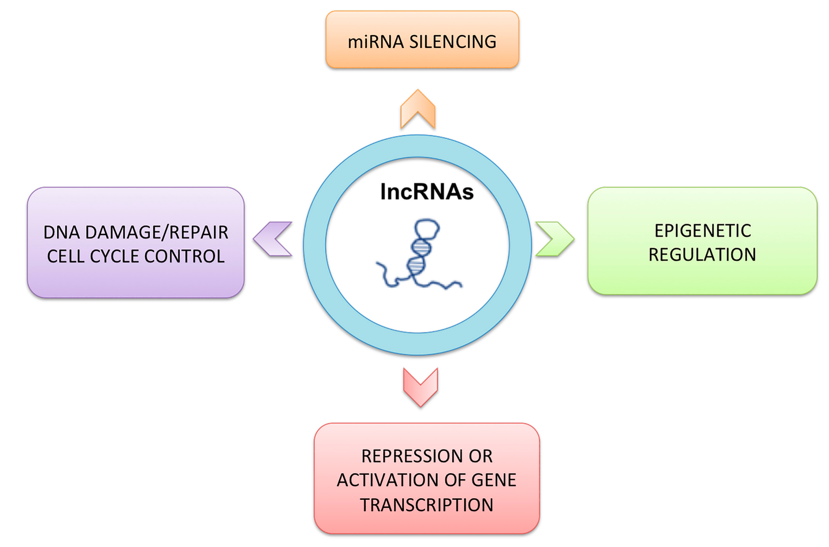 Protein scaffold interaction hacchange