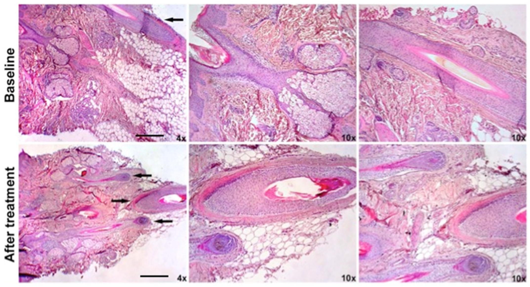 Ijms 20 03446 g003