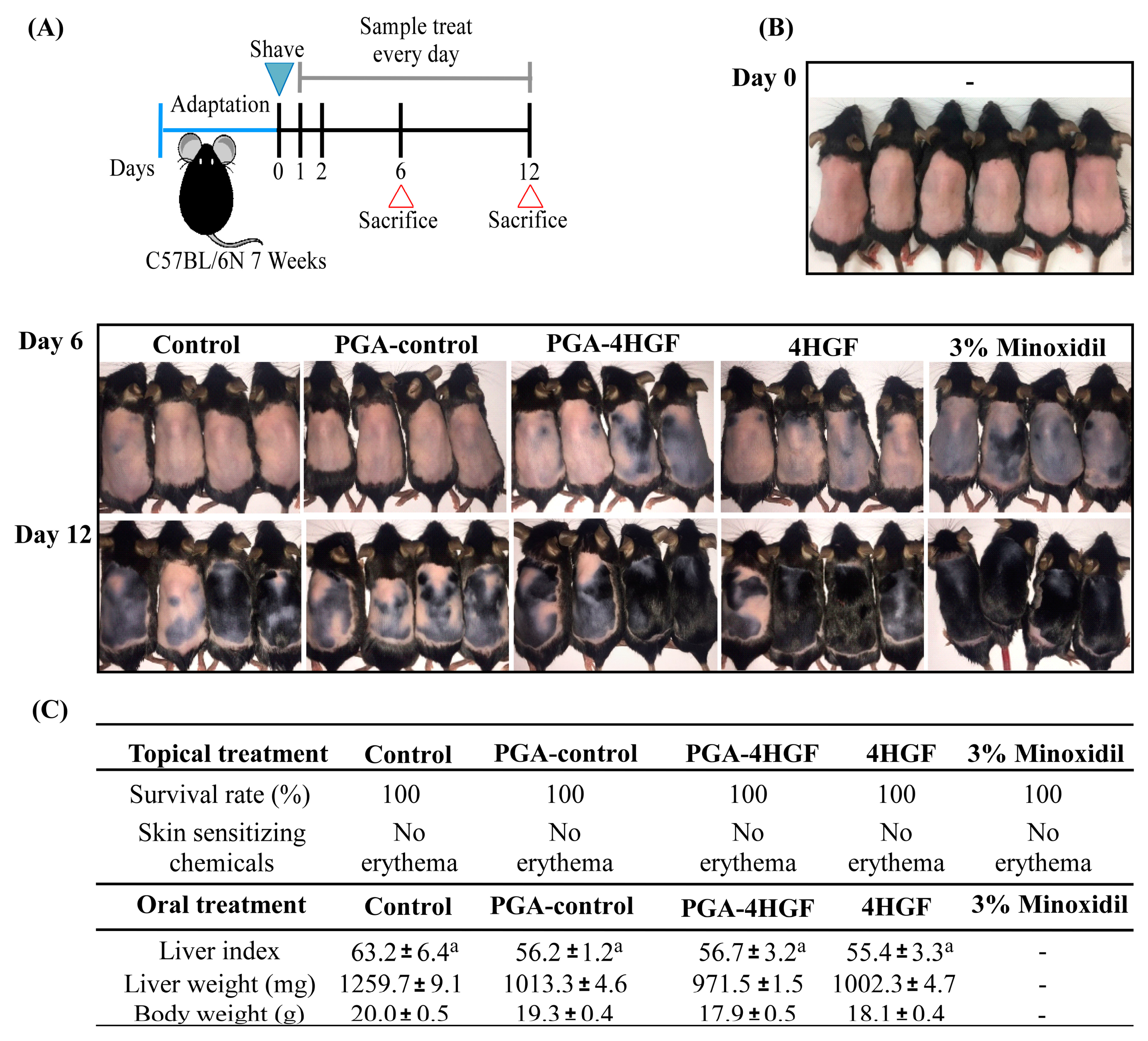 Ijms Free Full Text Hair Growth Promoting Effect Of 4hgf Encapsulated With Pga Nanoparticles Pga 4hgf By B Catenin Activation And Its Related Cell Cycle Molecules Html Ijms Free Full Text Hair Growth Promoting Effect Of 4hgf Encapsulated With Pga Nanoparticles Pga 4hgf By B Catenin Activation And Its Related Cell Cycle Molecules Html