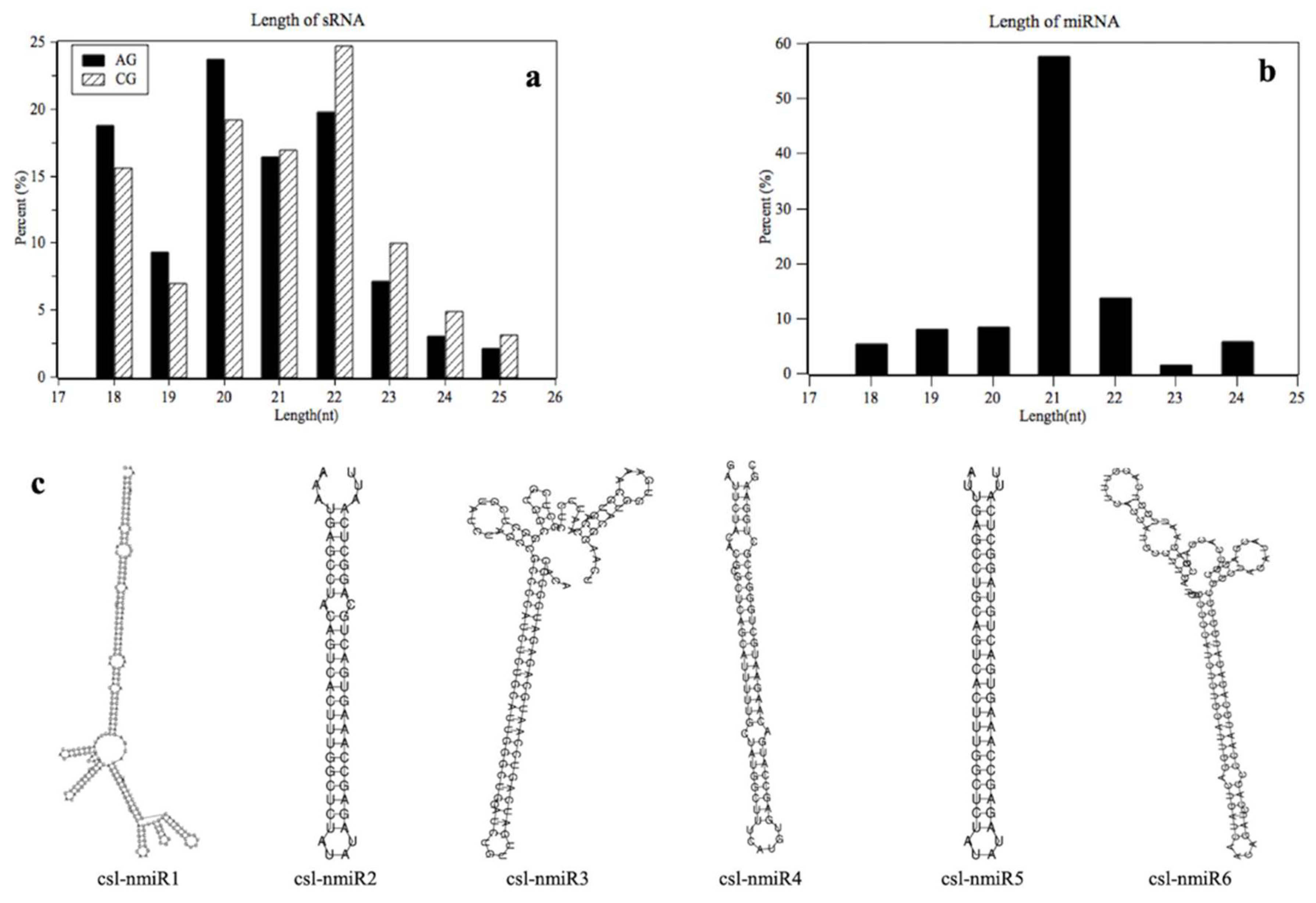 Ijms 20 03448 g001 Ijms 20 03448 g001
