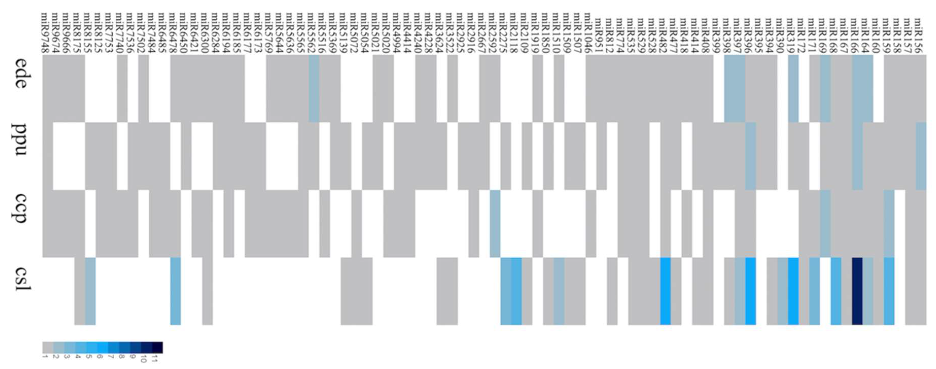 Ijms 20 03448 g002 Ijms 20 03448 g002