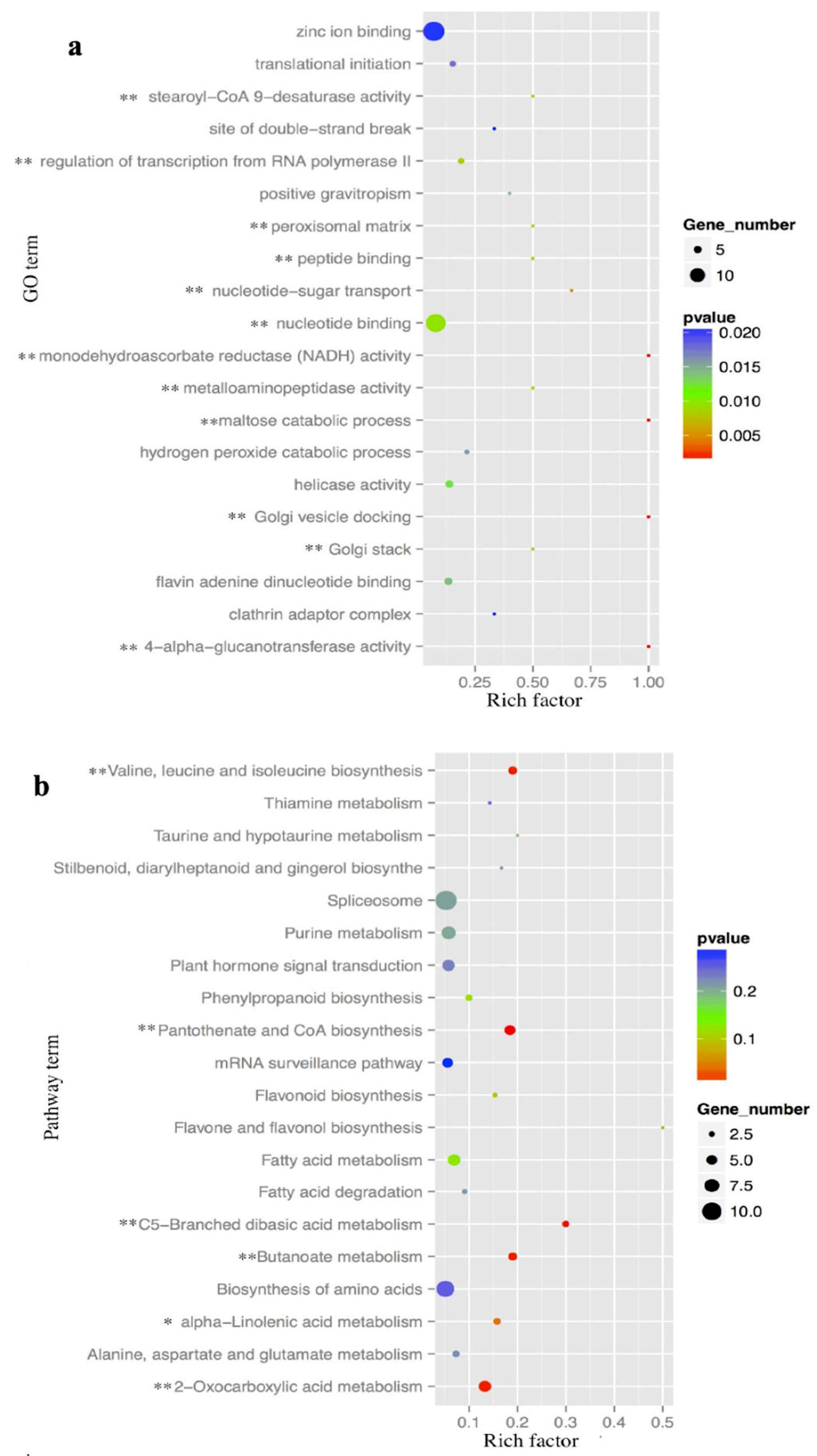 Ijms 20 03448 g003 Ijms 20 03448 g003
