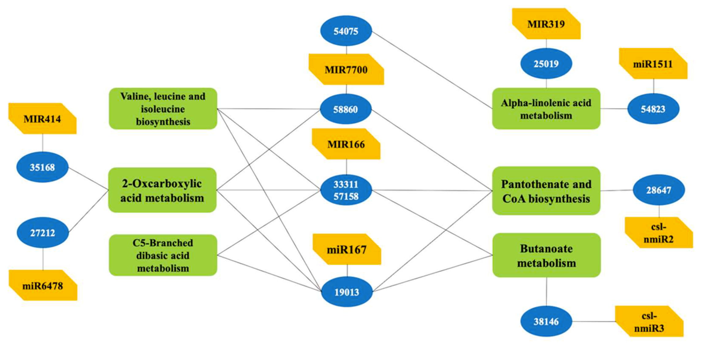 Ijms 20 03448 g004 Ijms 20 03448 g004