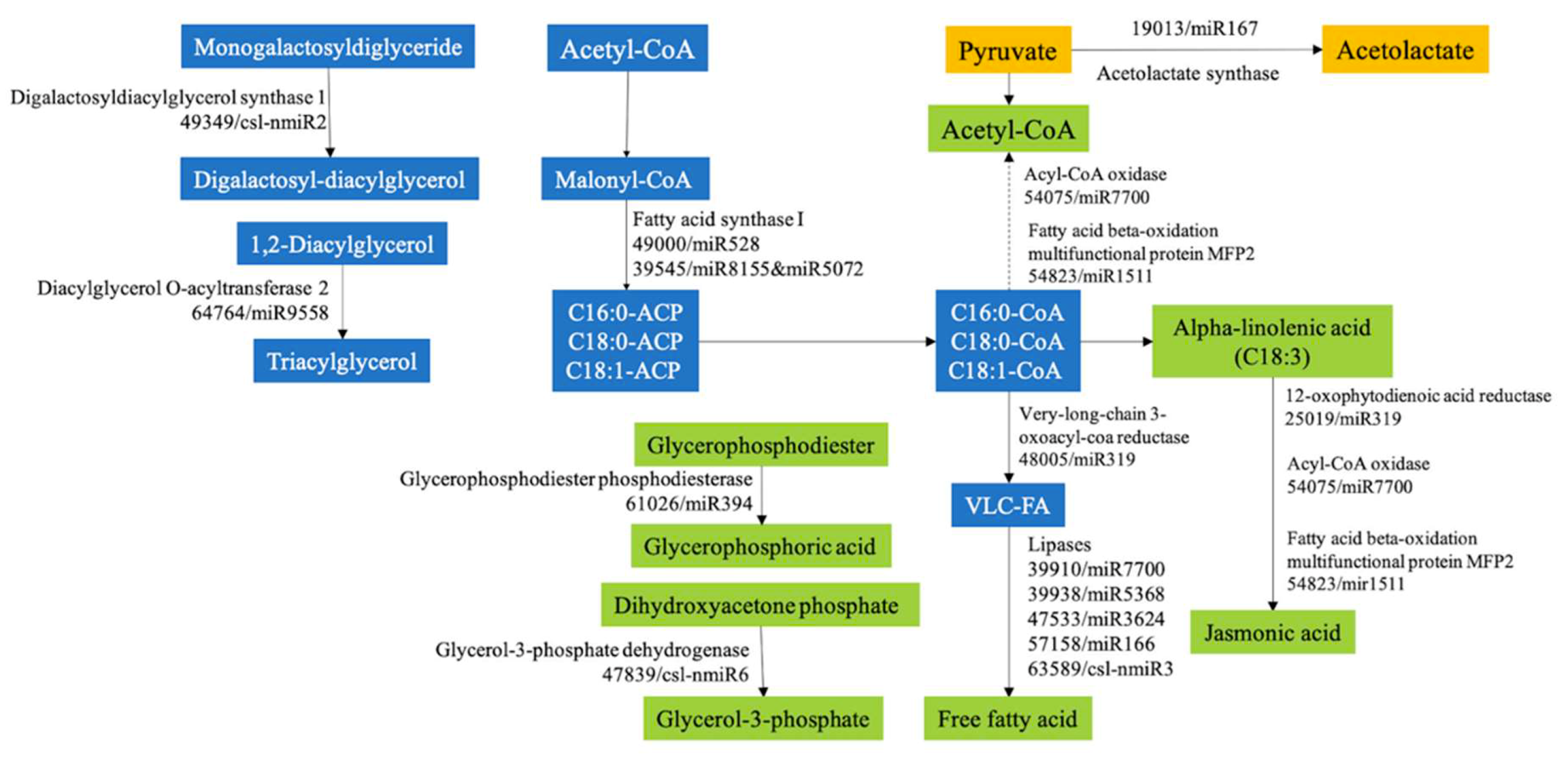 Ijms 20 03448 g005 Ijms 20 03448 g005