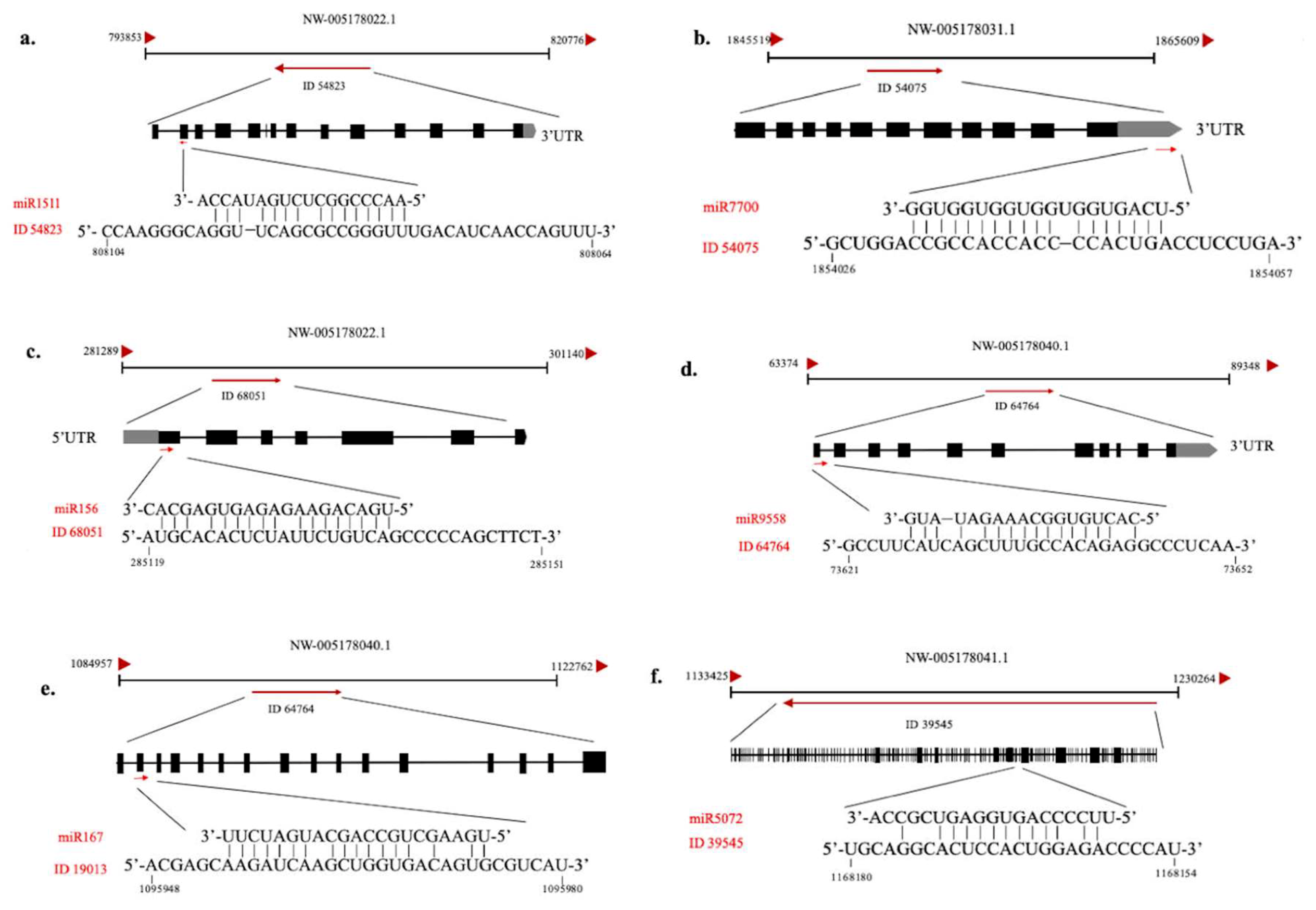 Ijms 20 03448 g006 Ijms 20 03448 g006