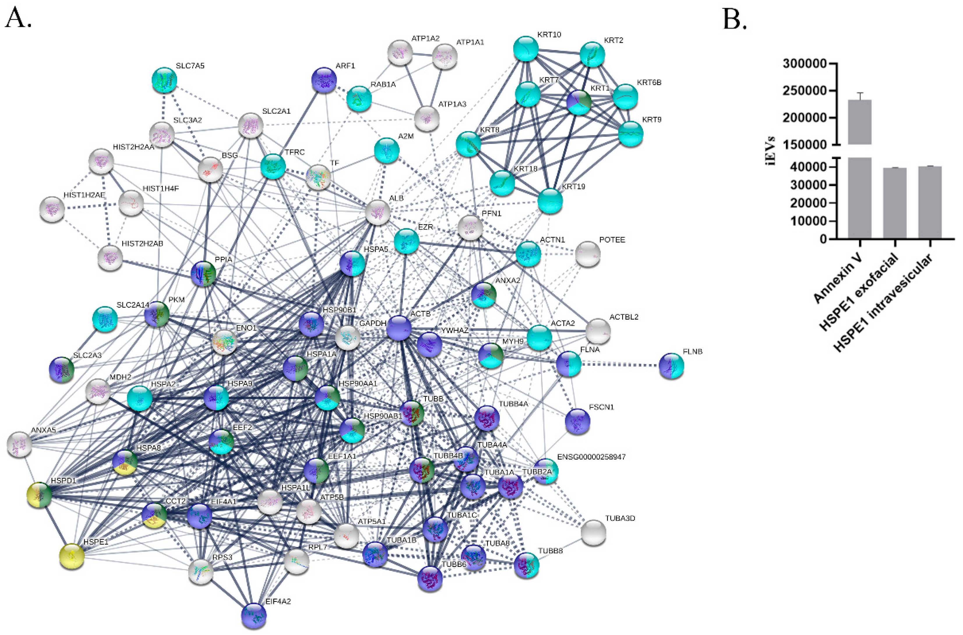 Ijms 20 03457 g002 Ijms 20 03457 g002