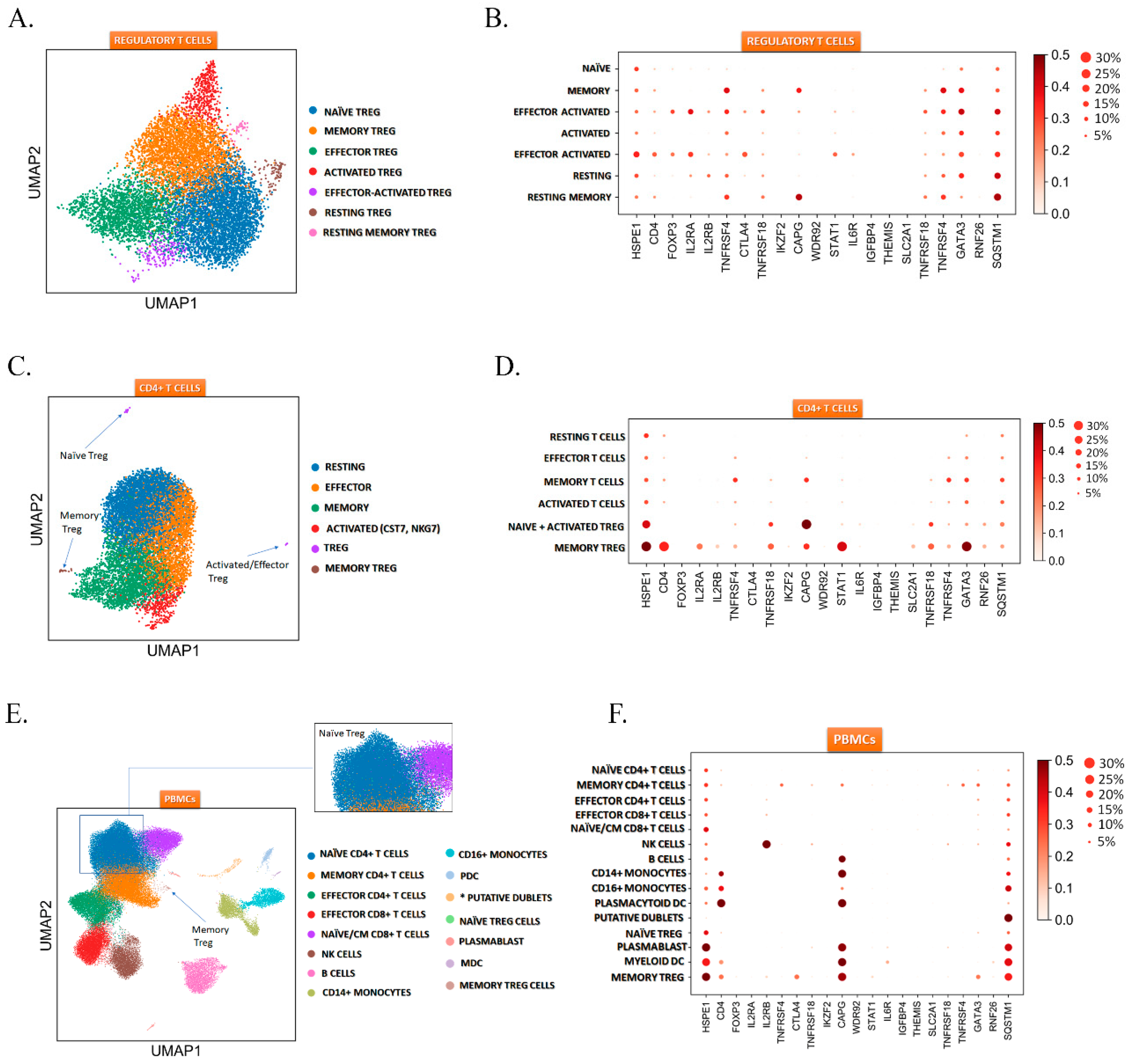 Ijms 20 03457 g004 Ijms 20 03457 g004