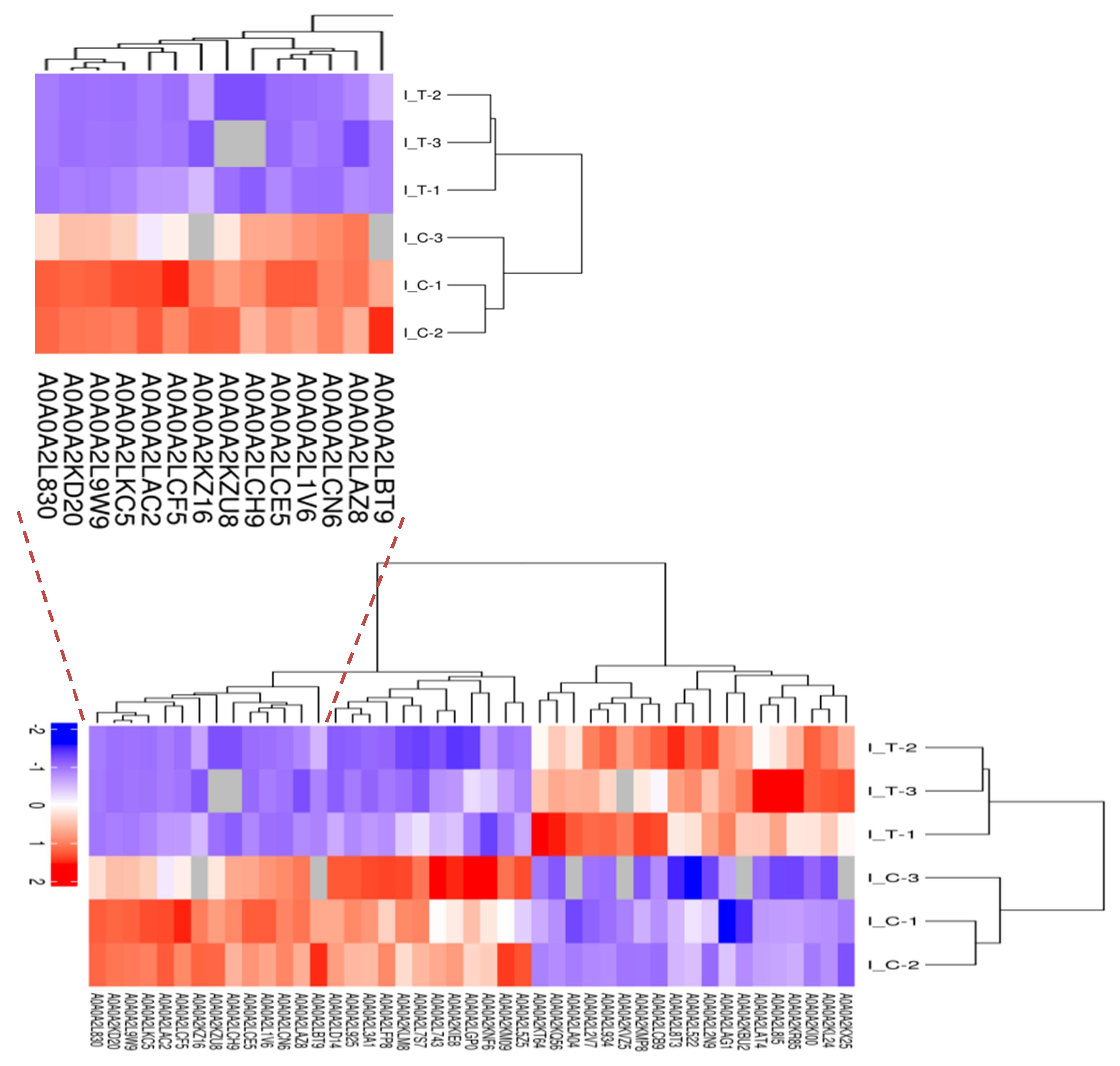 Ijms 20 03459 g005 Ijms 20 03459 g005
