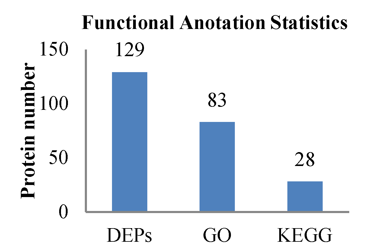 Ijms 20 03459 g006 Ijms 20 03459 g006