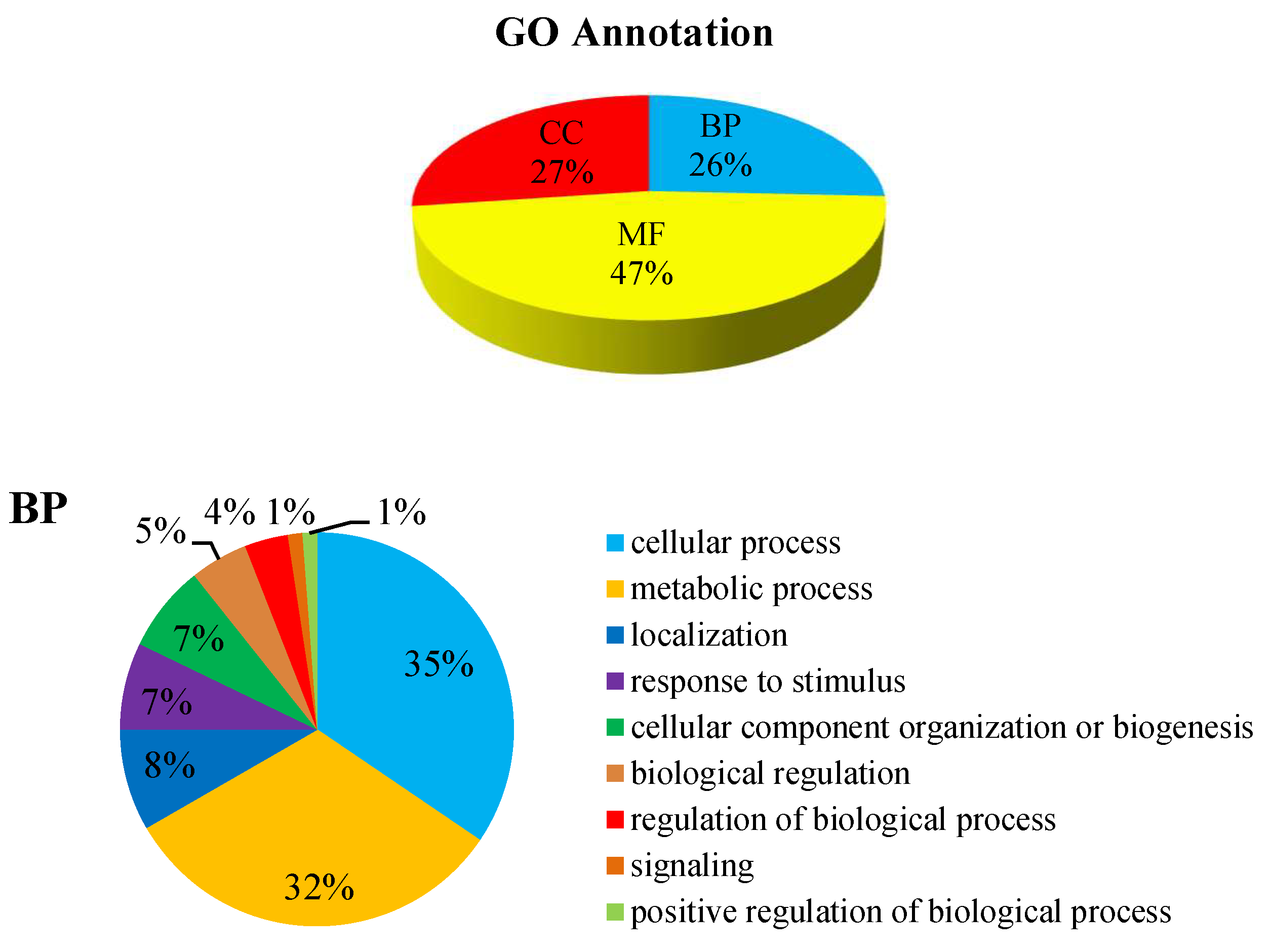 Ijms 20 03459 g007a Ijms 20 03459 g007a