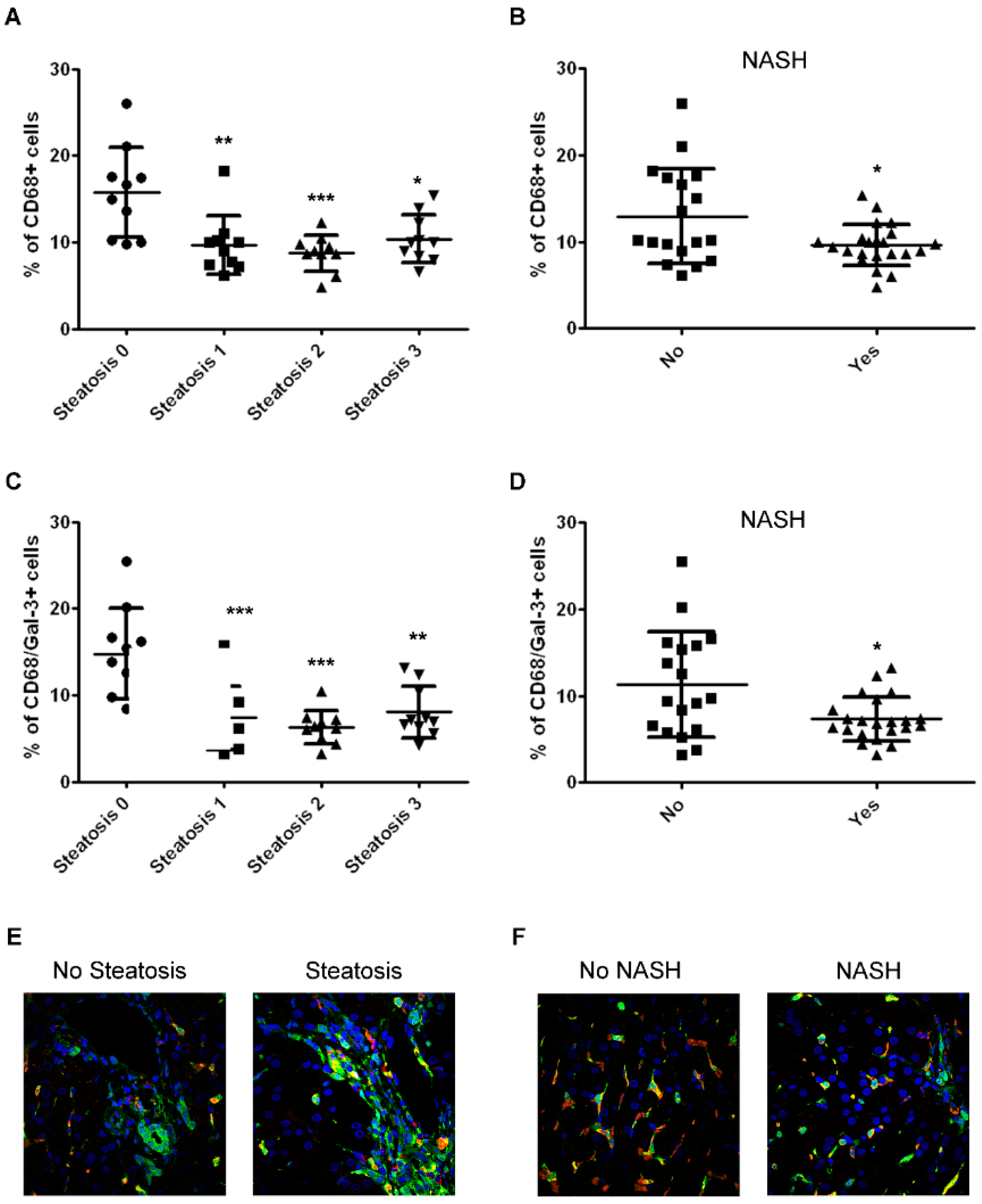 Ijms 20 03460 g002 Ijms 20 03460 g002