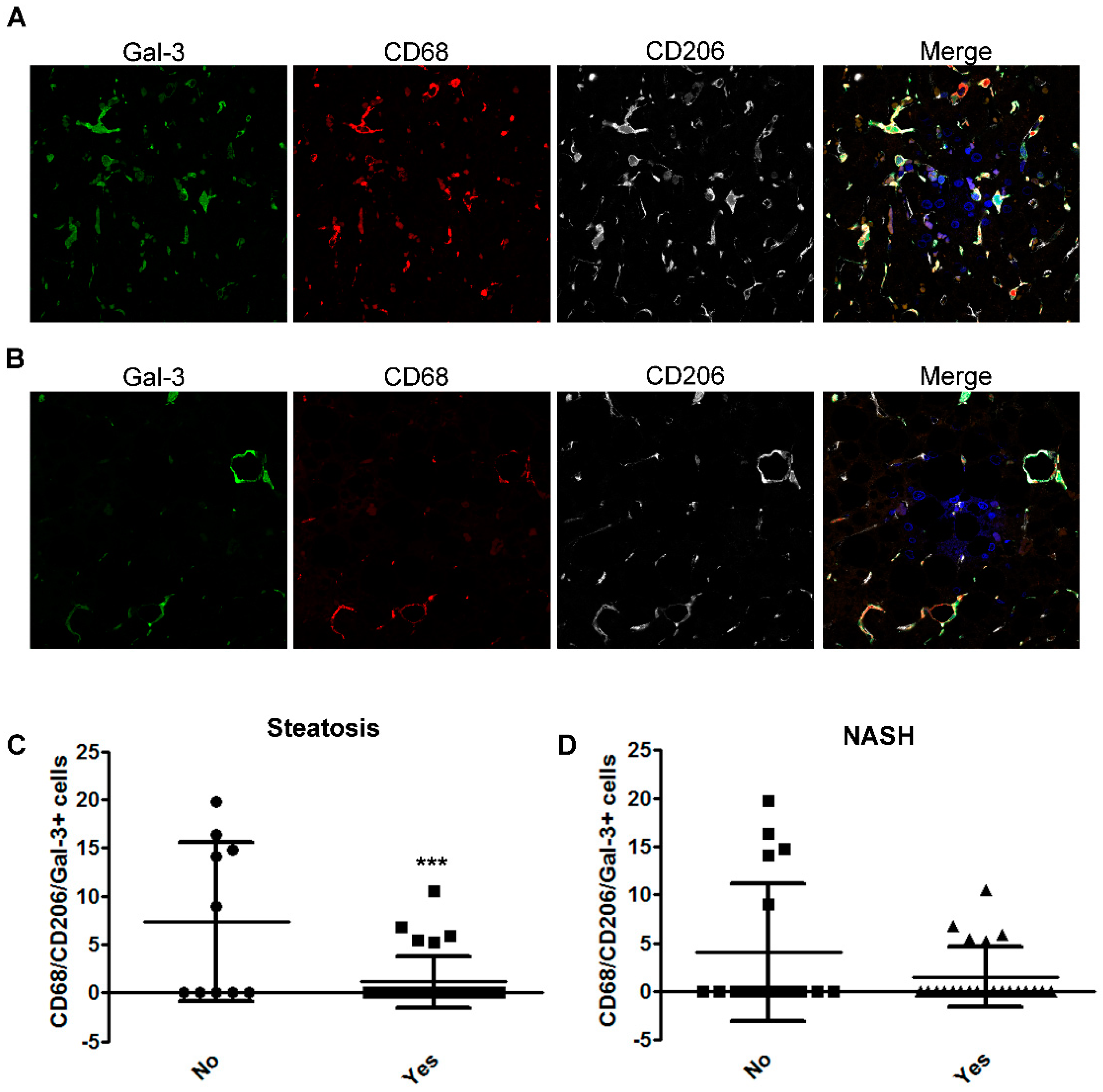 Ijms 20 03460 g003 Ijms 20 03460 g003