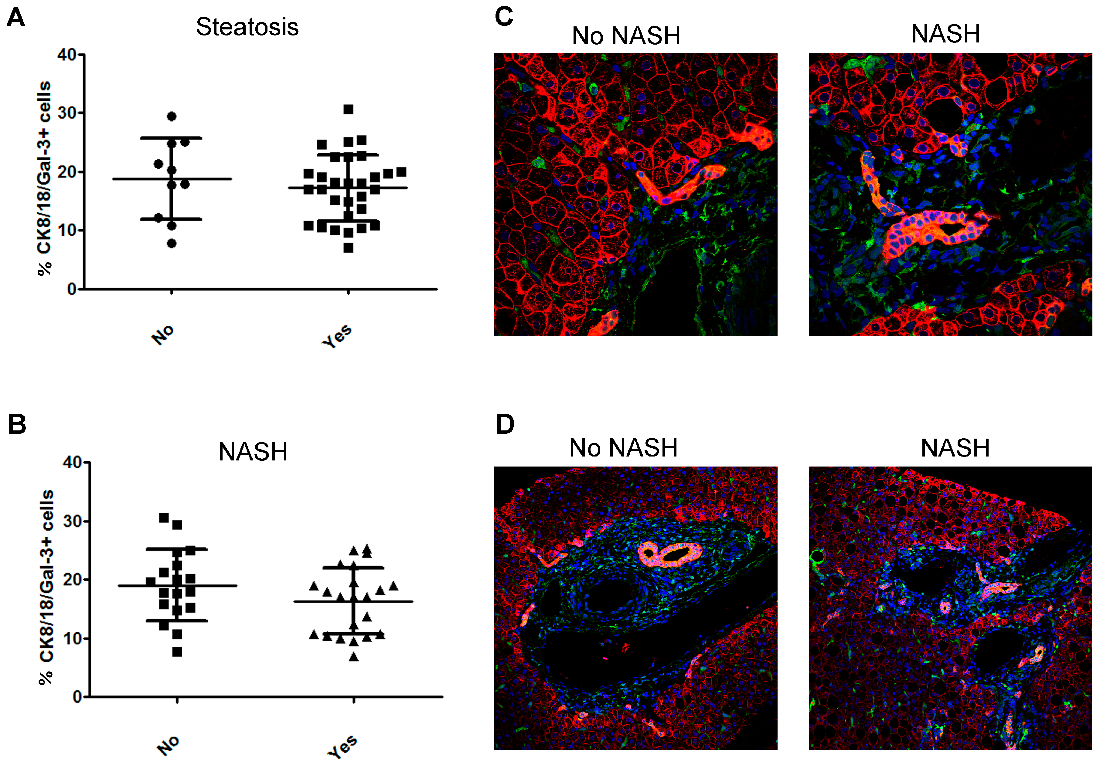 Ijms 20 03460 g004 Ijms 20 03460 g004