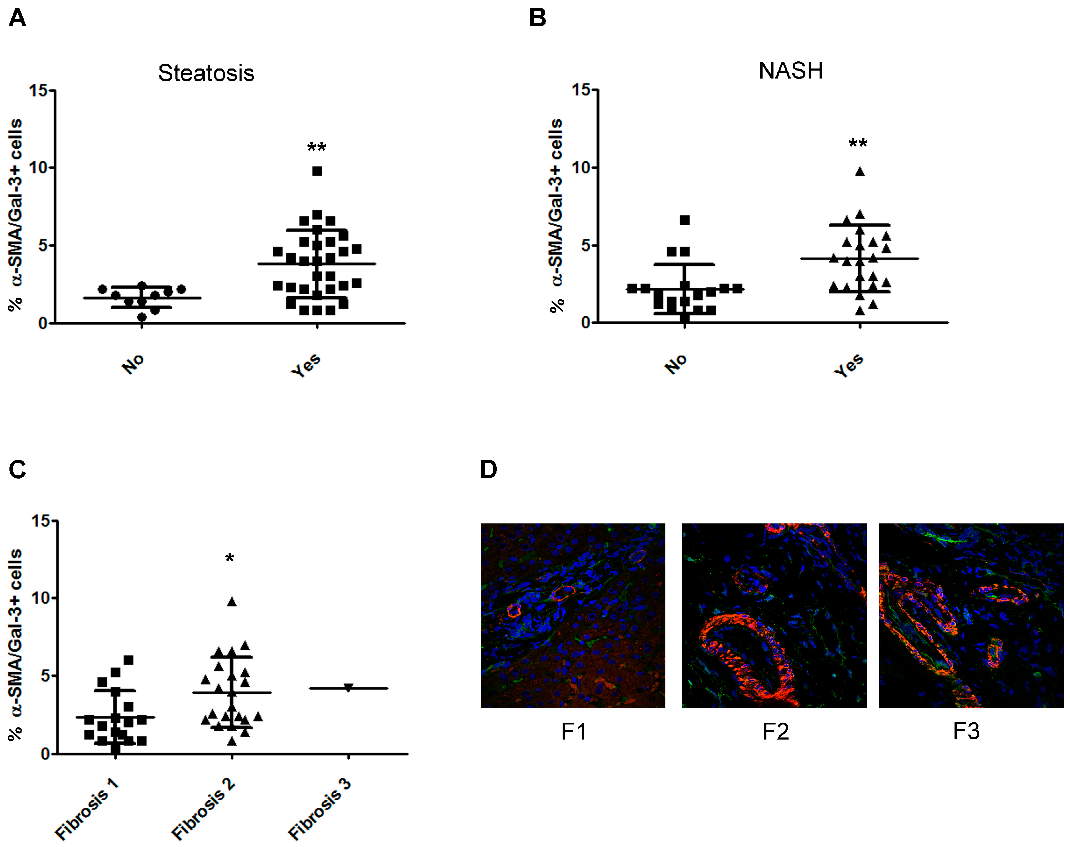 Ijms 20 03460 g005 Ijms 20 03460 g005