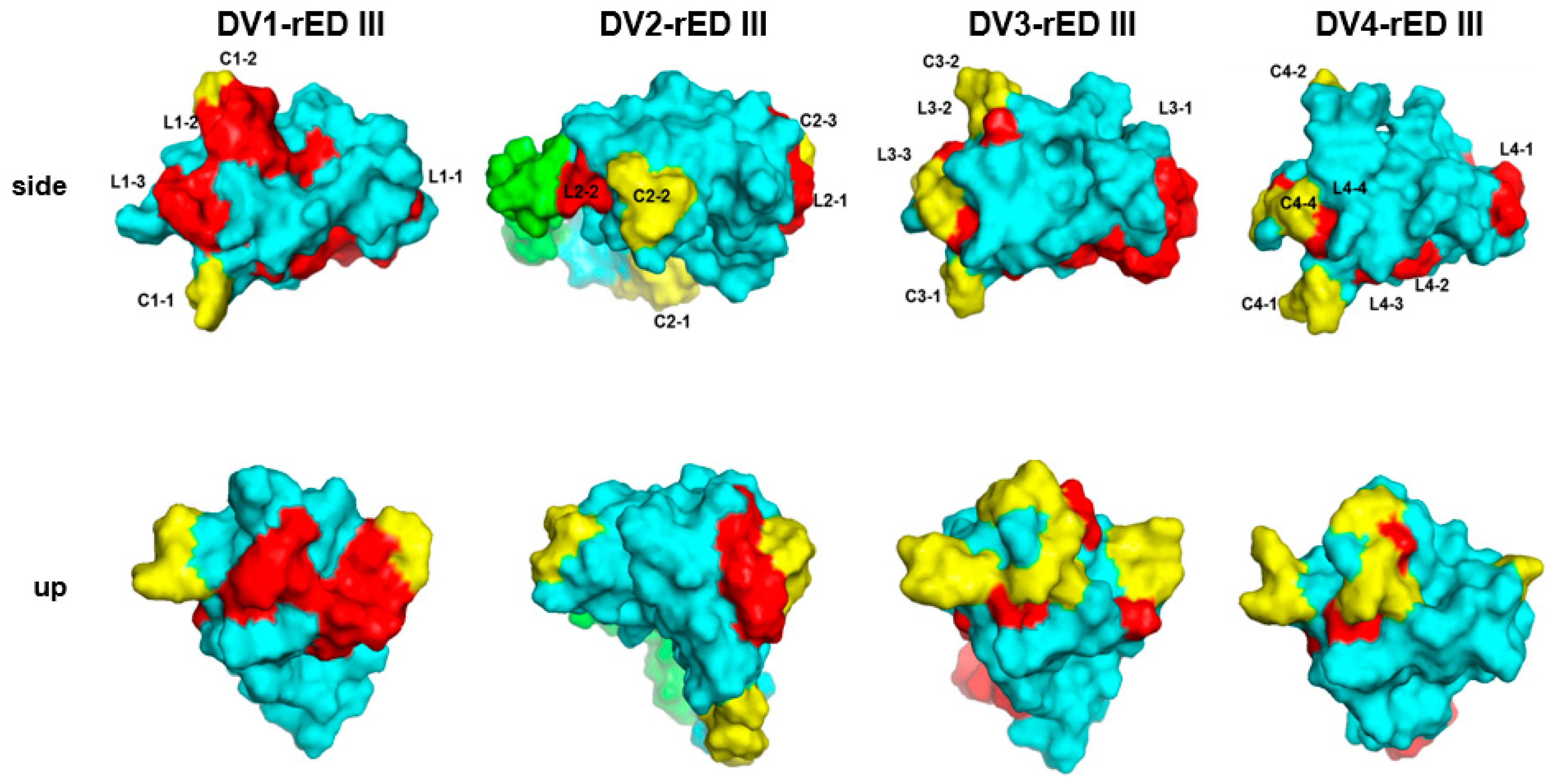 Ijms 20 03464 g003 Ijms 20 03464 g003