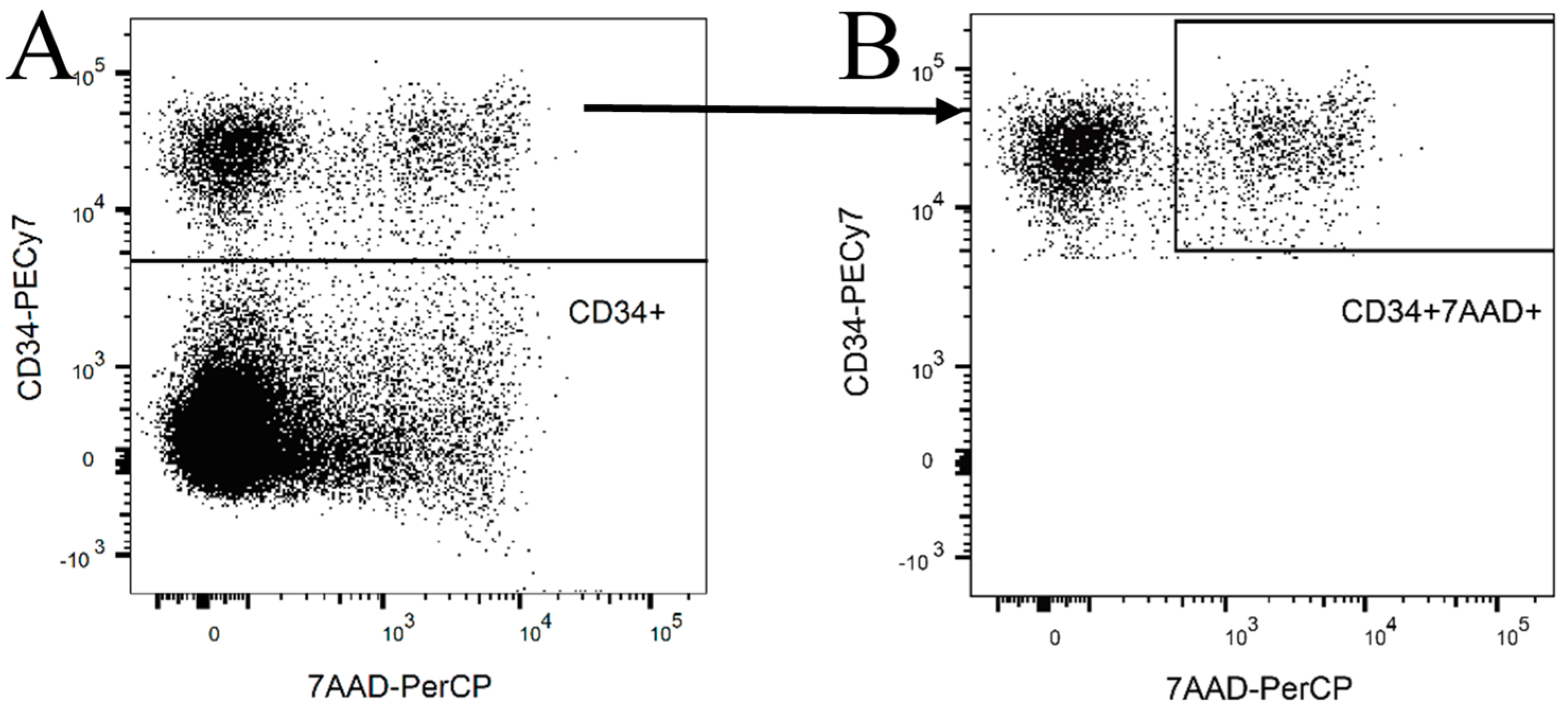 Ijms 20 03472 g006 Ijms 20 03472 g006
