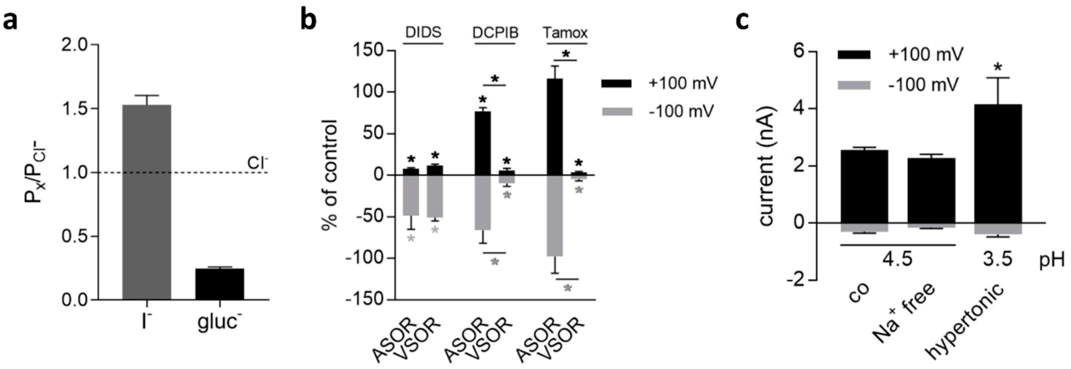 Ijms 20 03475 g002 Ijms 20 03475 g002