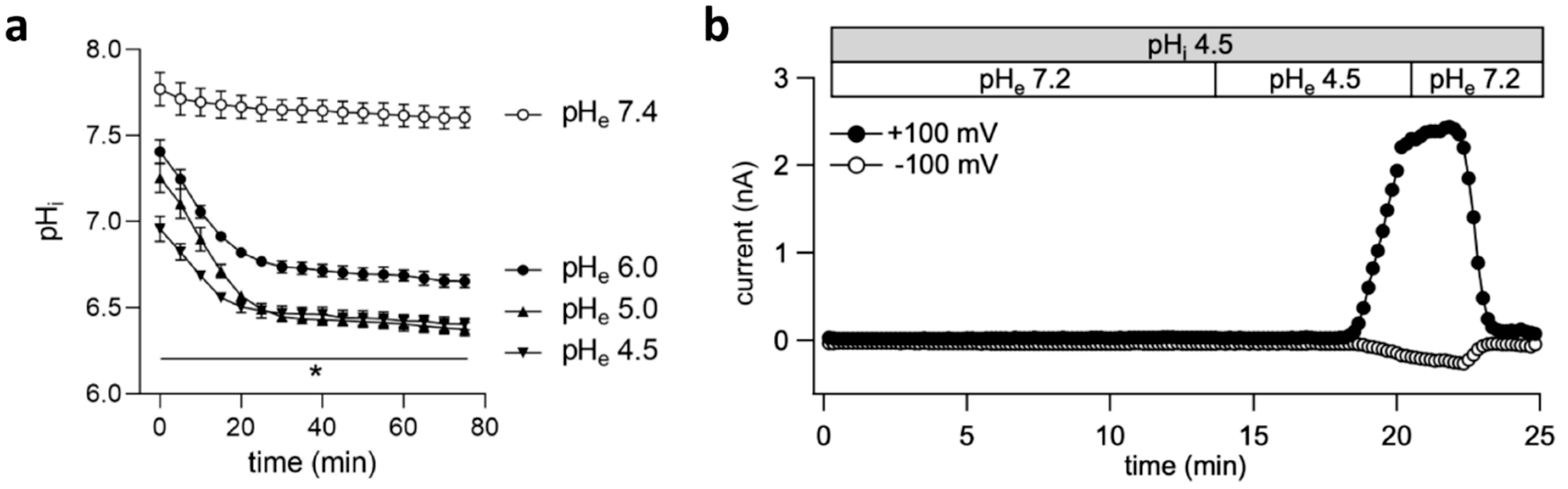 Ijms 20 03475 g003 Ijms 20 03475 g003
