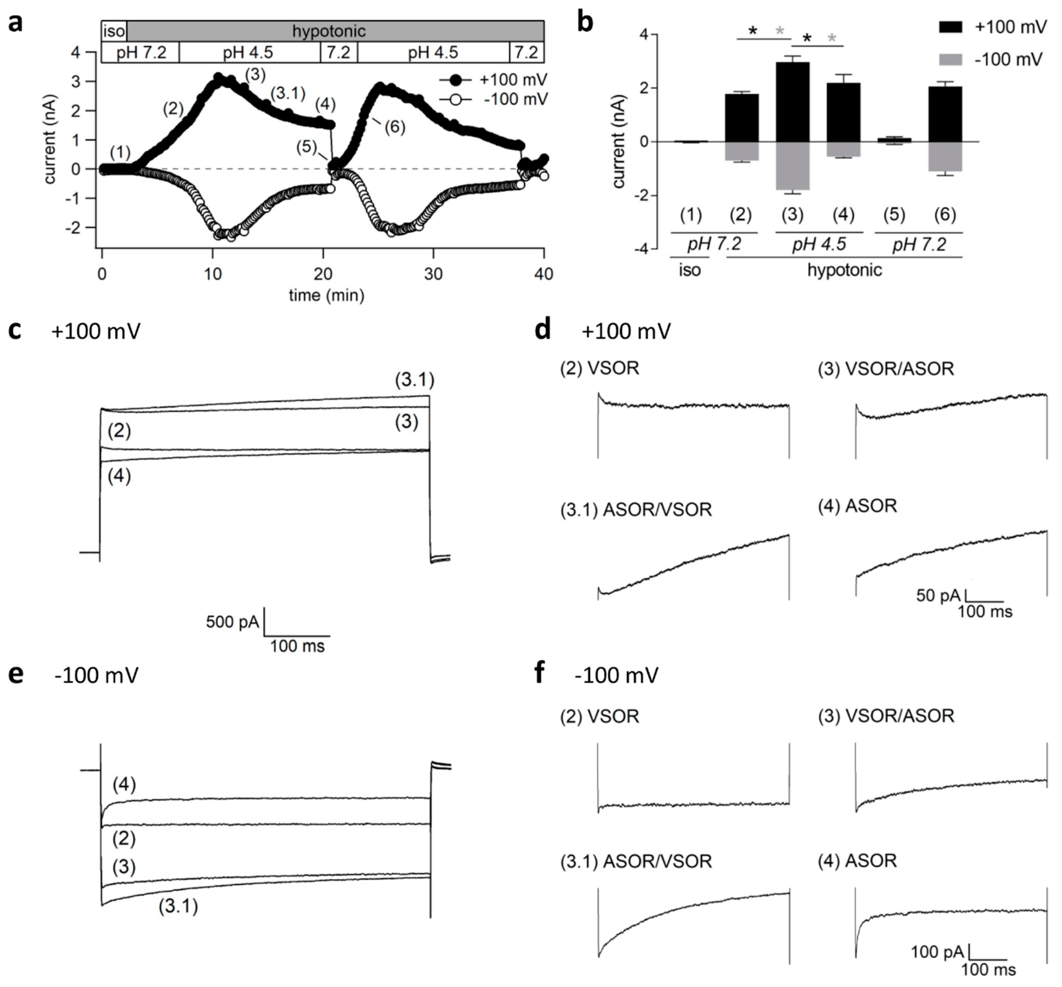 Ijms 20 03475 g005 Ijms 20 03475 g005