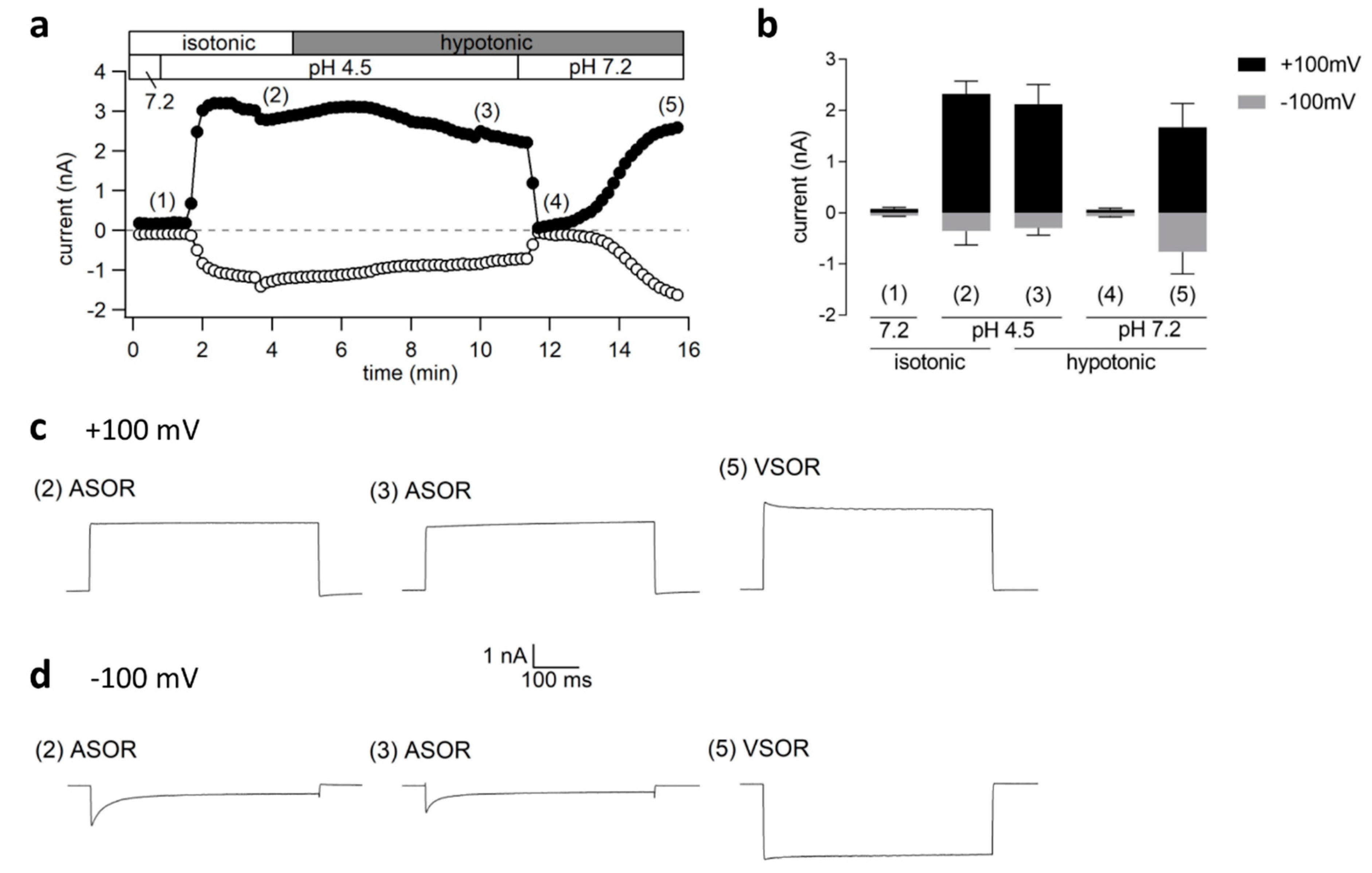 Ijms 20 03475 g006 Ijms 20 03475 g006
