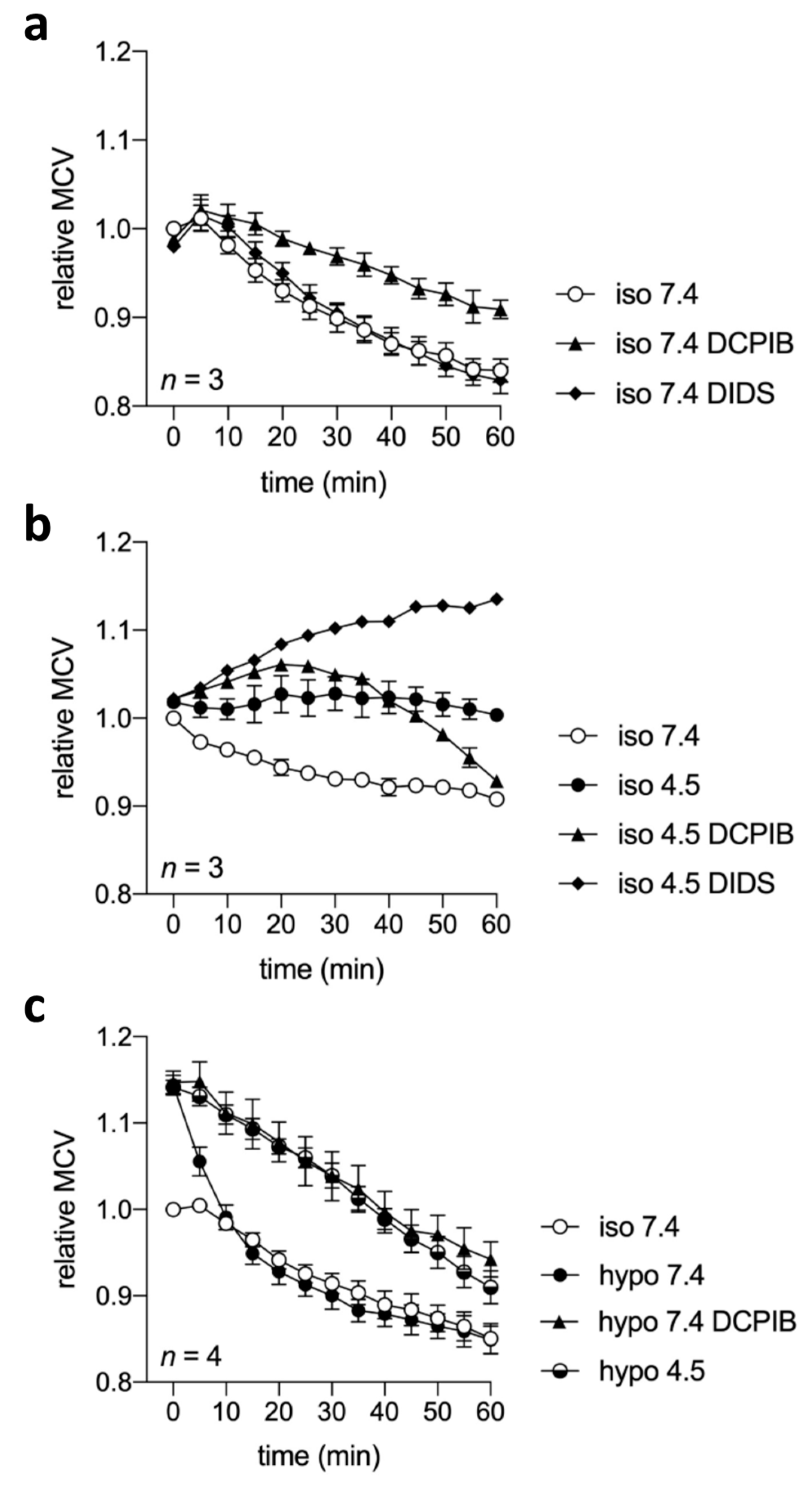 Ijms 20 03475 g008 Ijms 20 03475 g008