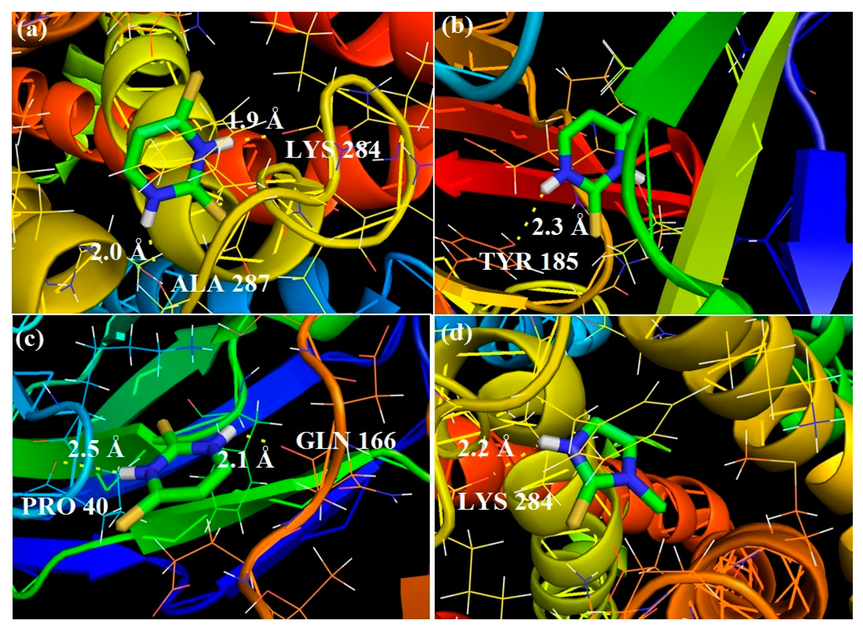 Ijms 20 03477 g006 Ijms 20 03477 g006