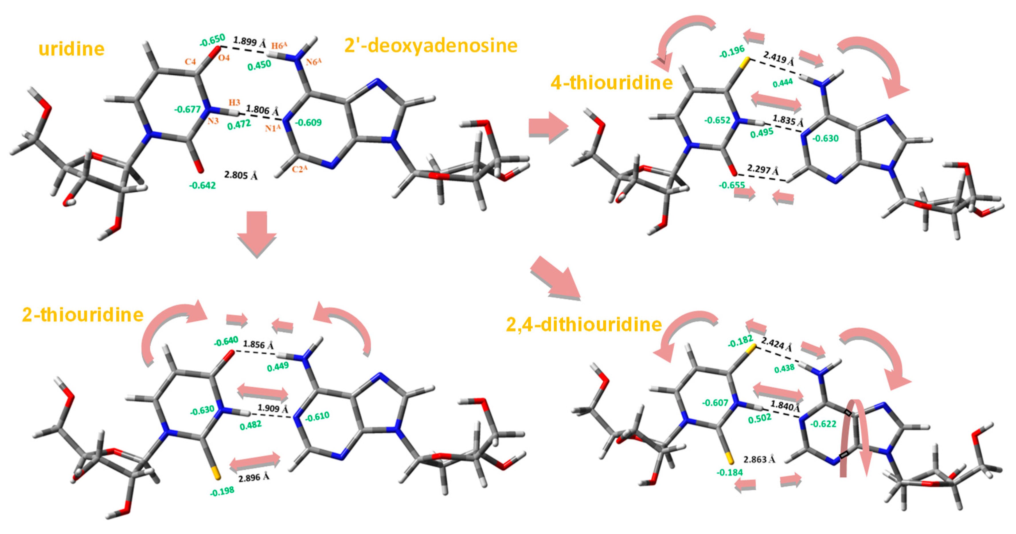 Ijms 20 03477 g007 Ijms 20 03477 g007