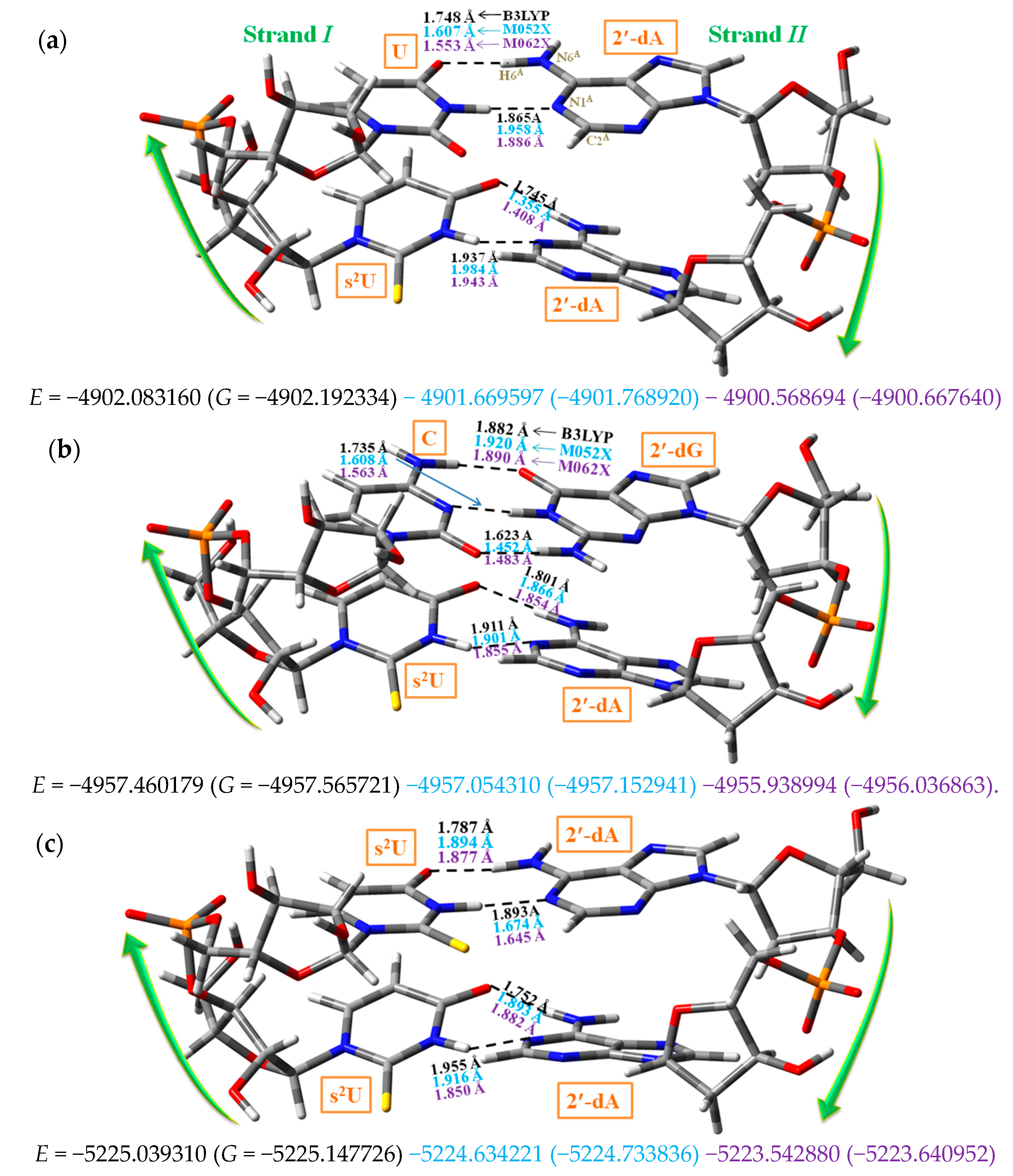 Ijms 20 03477 g008 Ijms 20 03477 g008